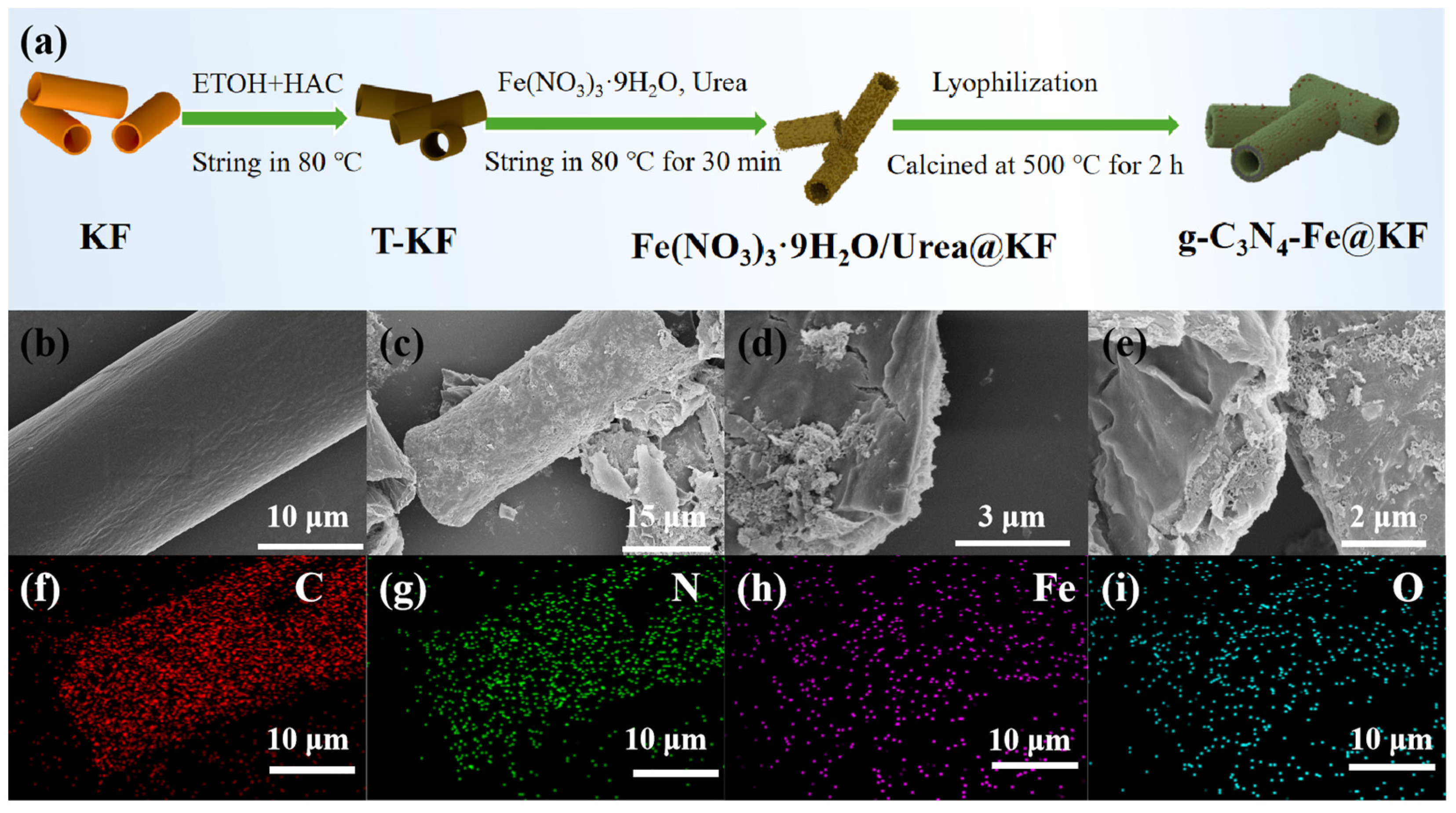 Catalysts 14 00579 g001
