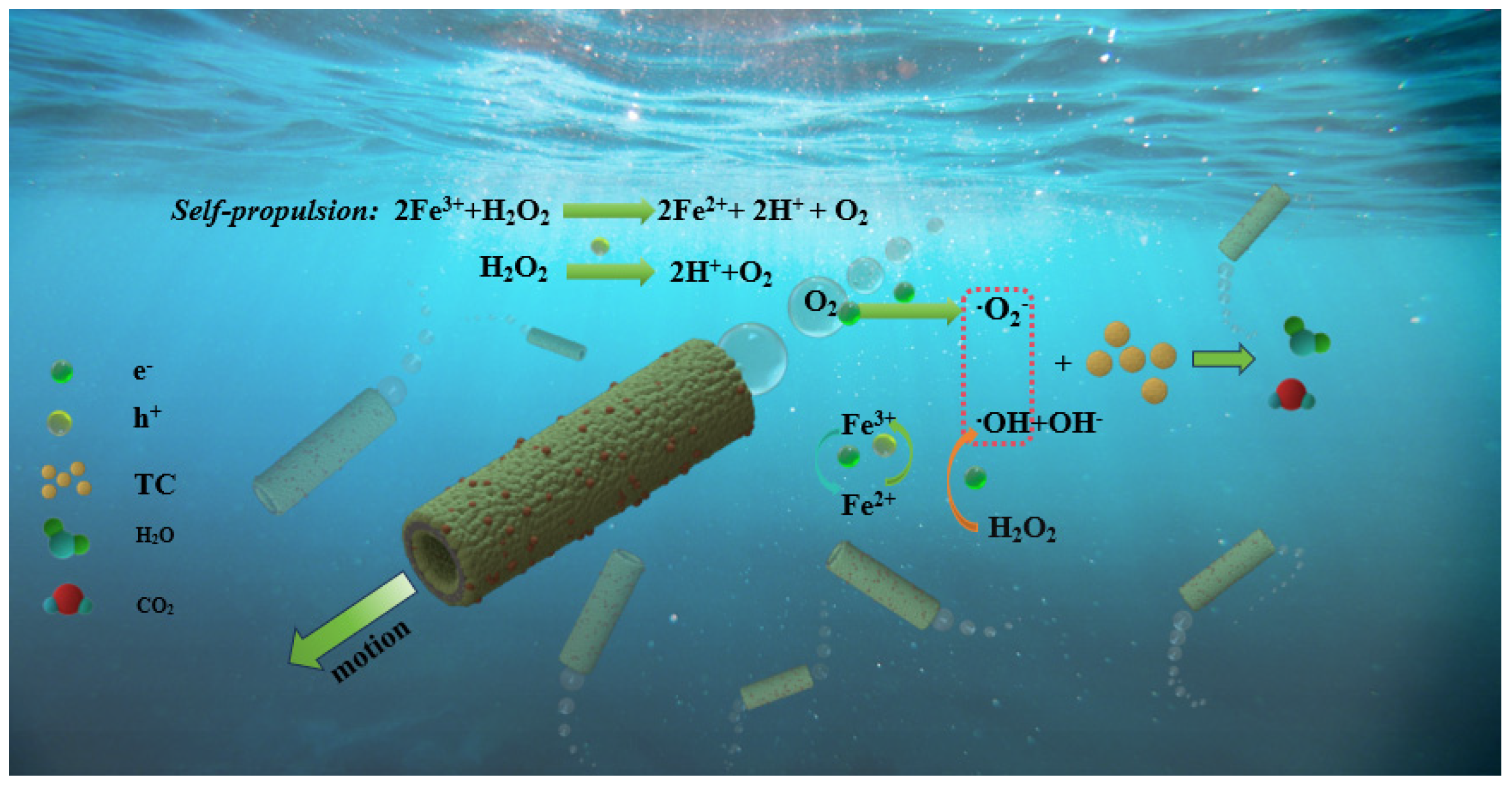 Catalysts 14 00579 sch001
