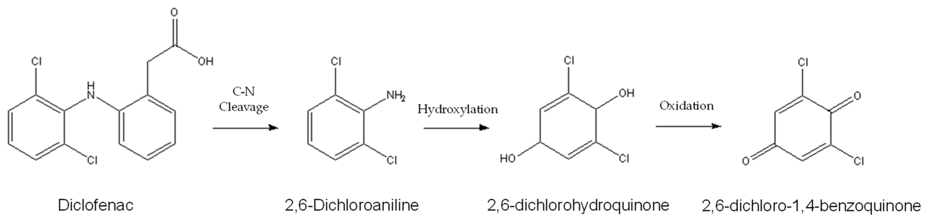 Catalysts 14 00580 g009