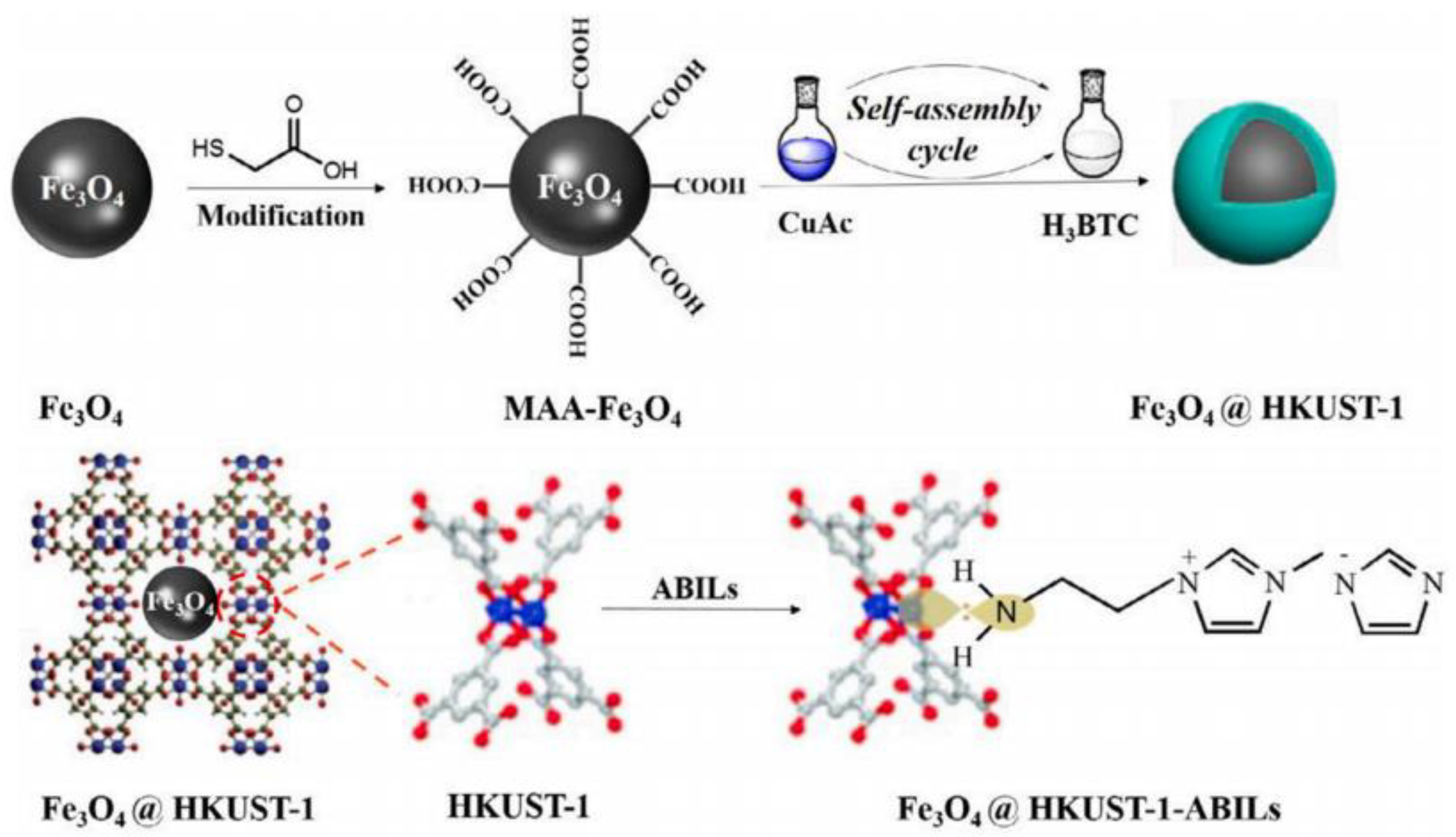 Catalysts 14 00581 g006