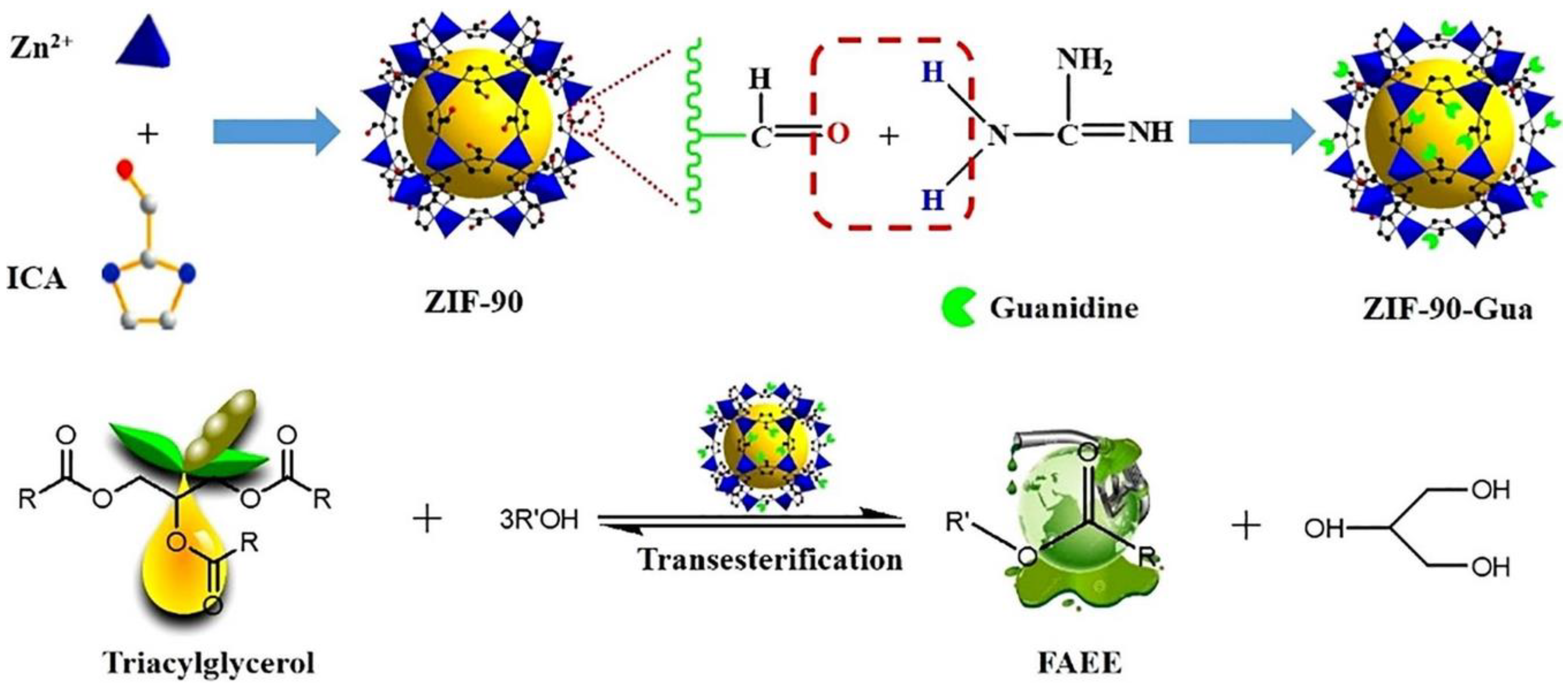 Catalysts 14 00581 g007