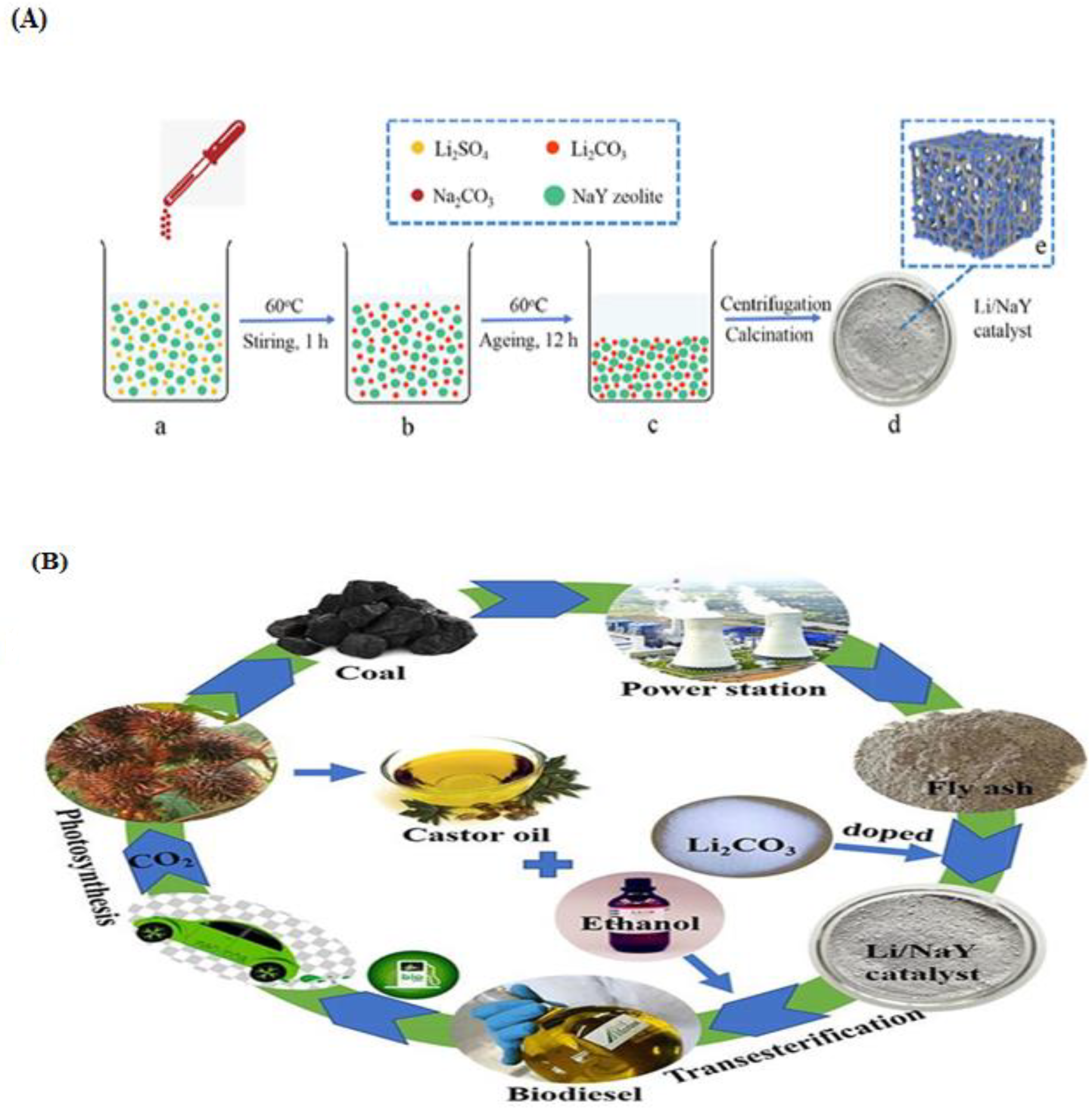 Catalysts 14 00581 g014