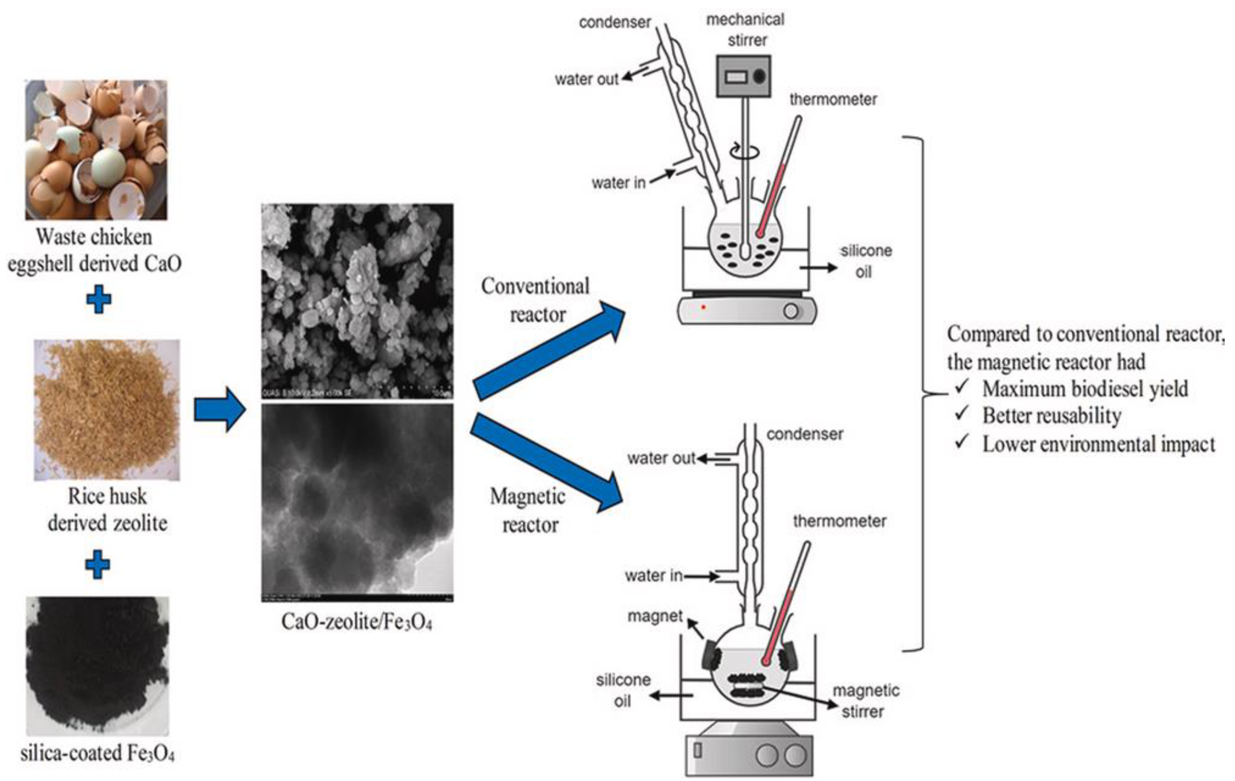 Catalysts 14 00581 g017