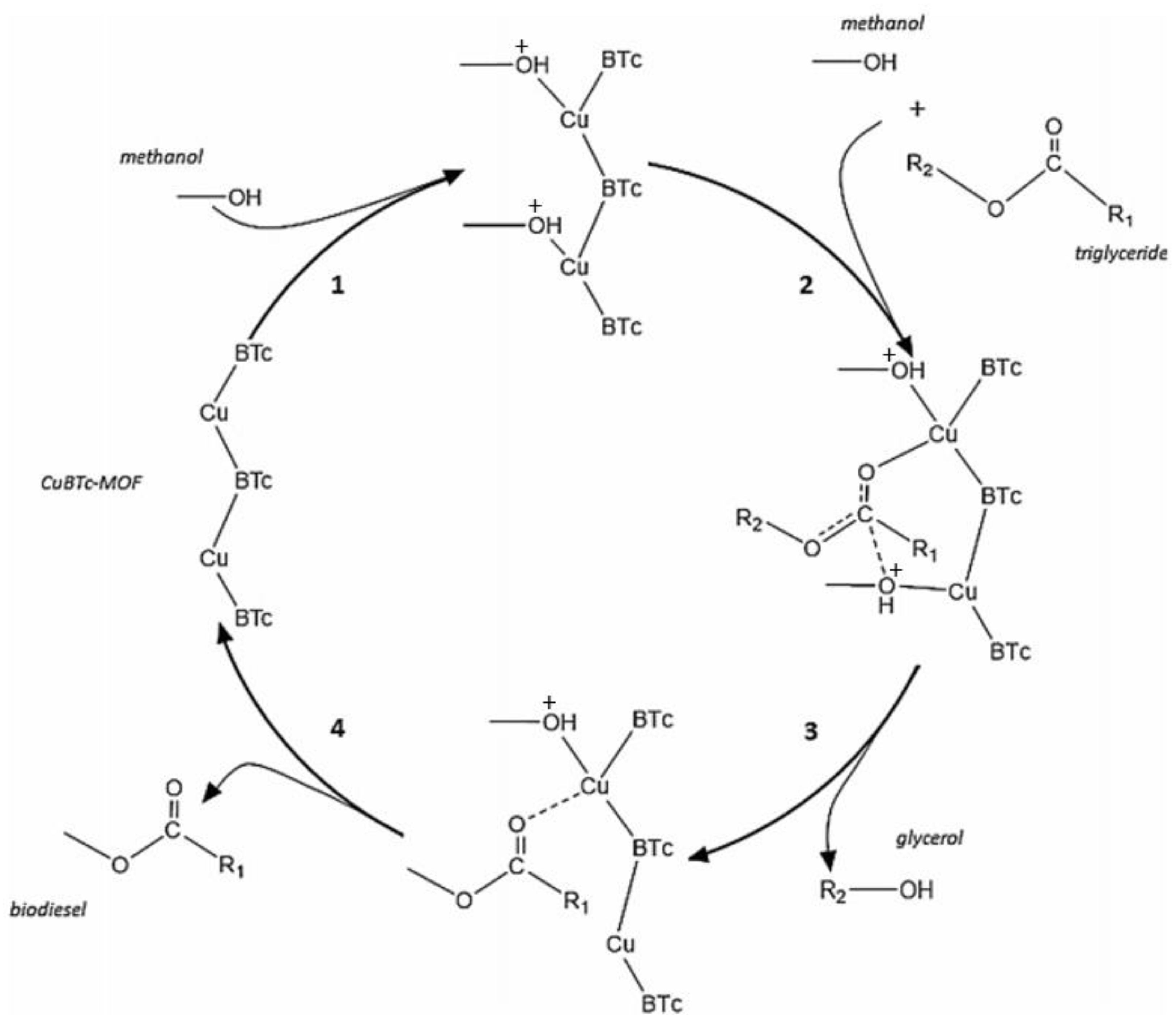 Catalysts 14 00581 g023