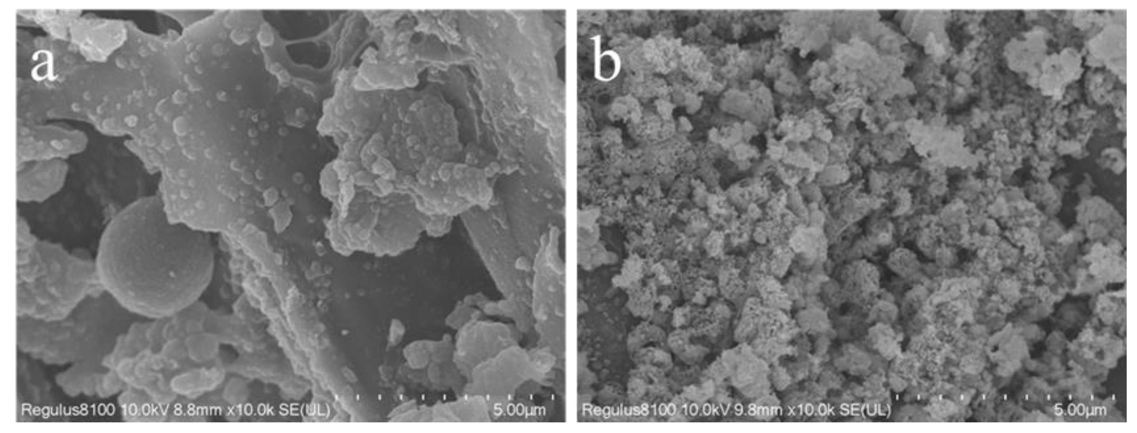 Catalysts 14 00583 g001