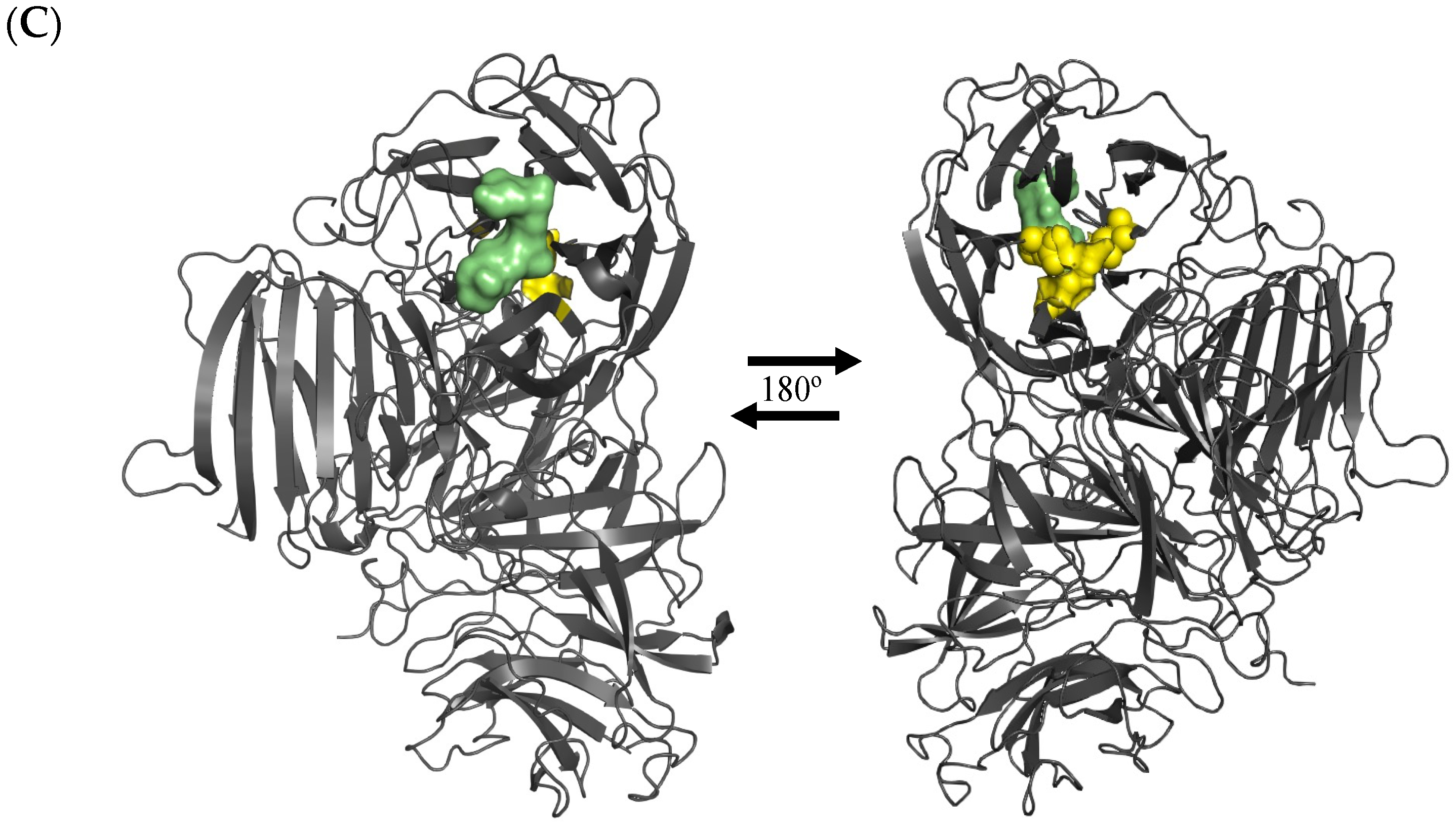 Catalysts 14 00584 g002b Catalysts 14 00584 g002b