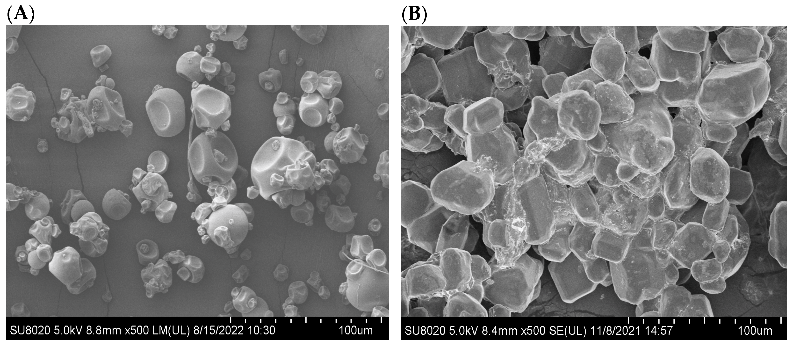 Catalysts 14 00584 g005a Catalysts 14 00584 g005a