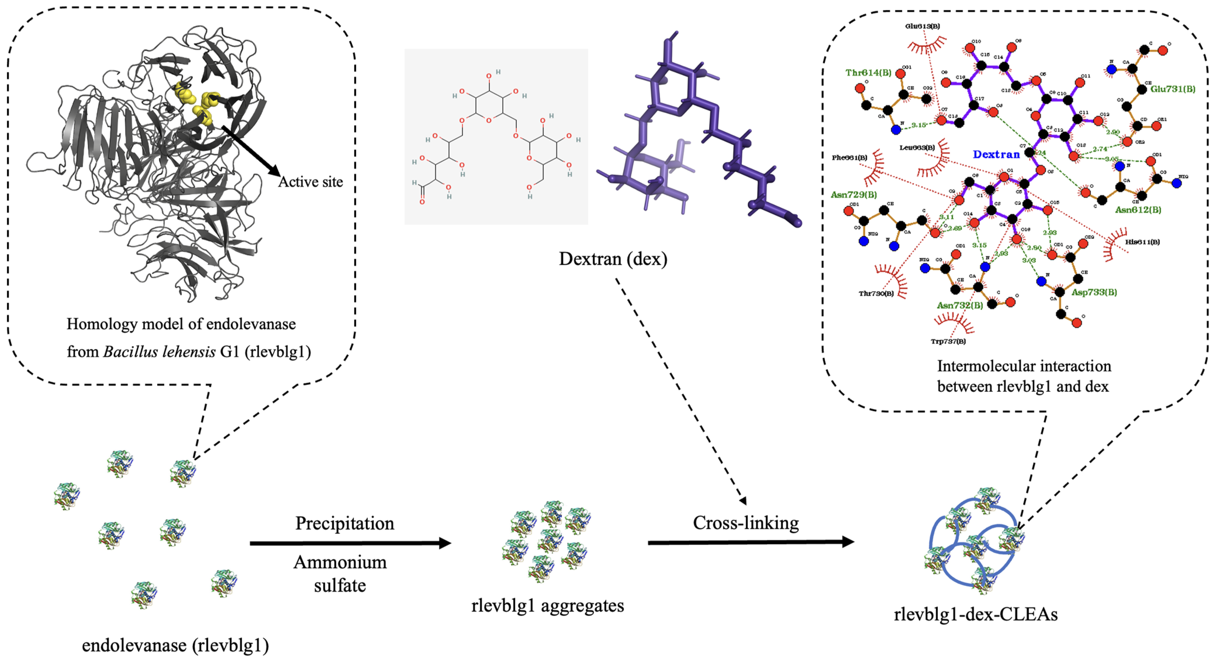 Catalysts 14 00584 sch001 Catalysts 14 00584 sch001