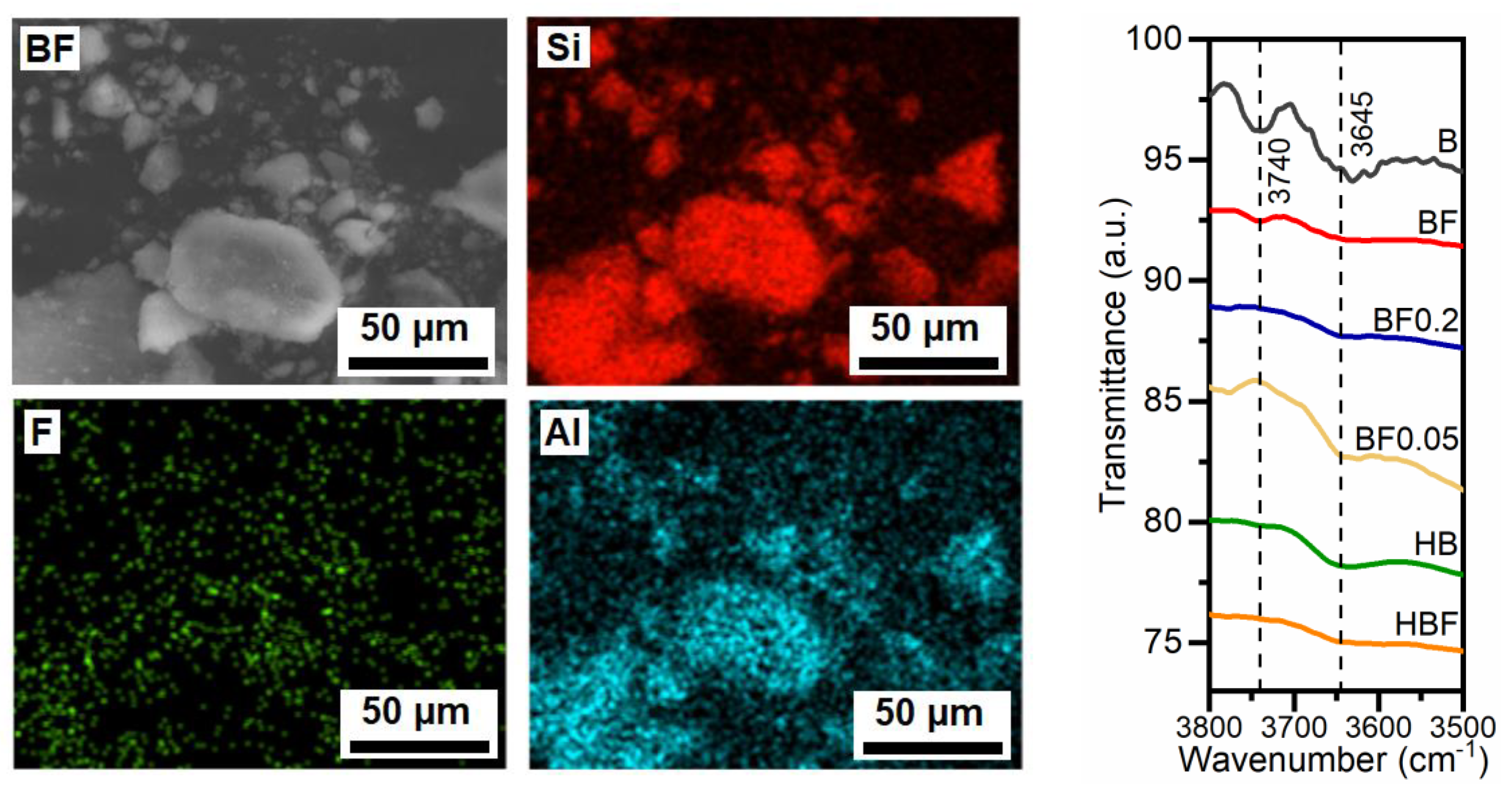 Catalysts 14 00586 g003
