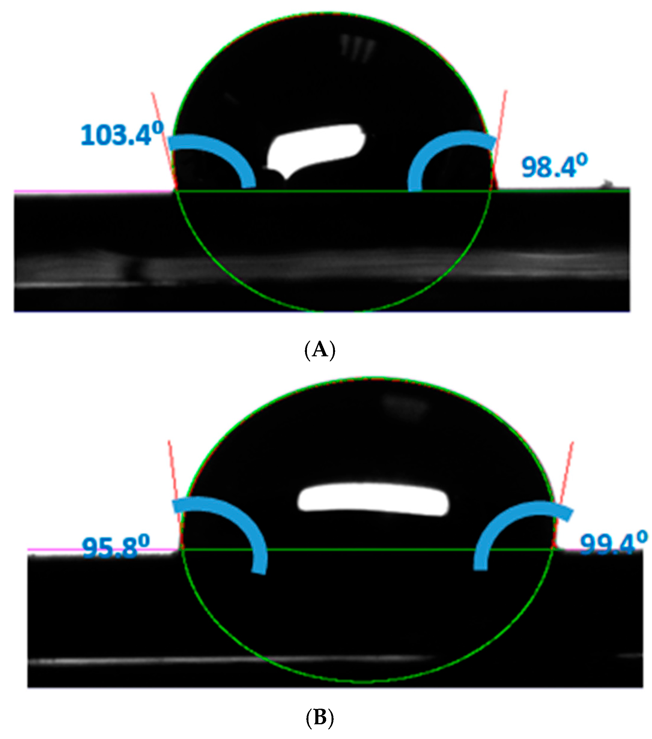 Catalysts 14 00589 g013