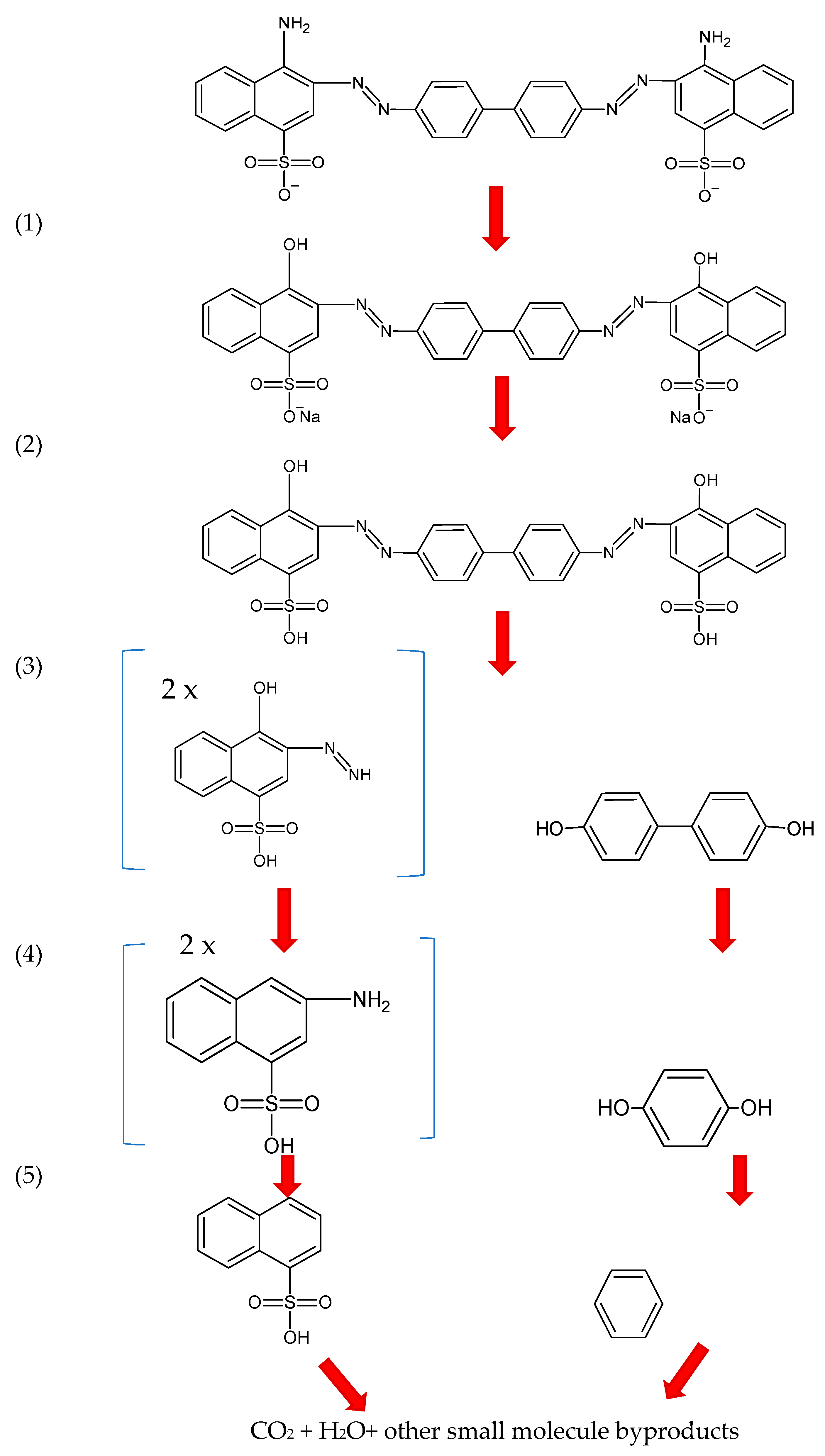 Catalysts 14 00589 g016