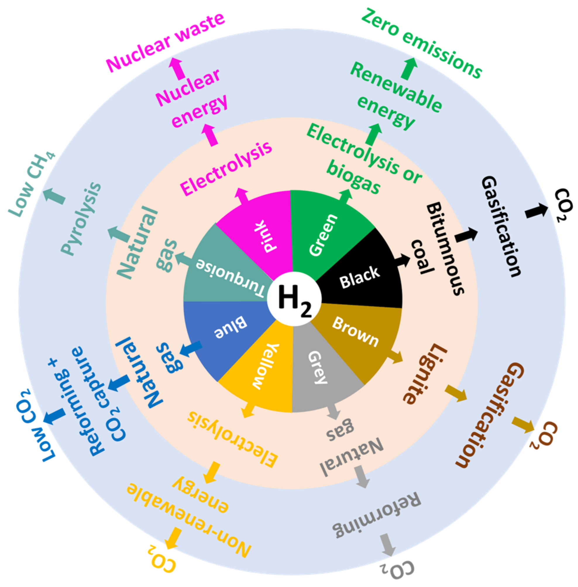 Catalysts 14 00592 g001