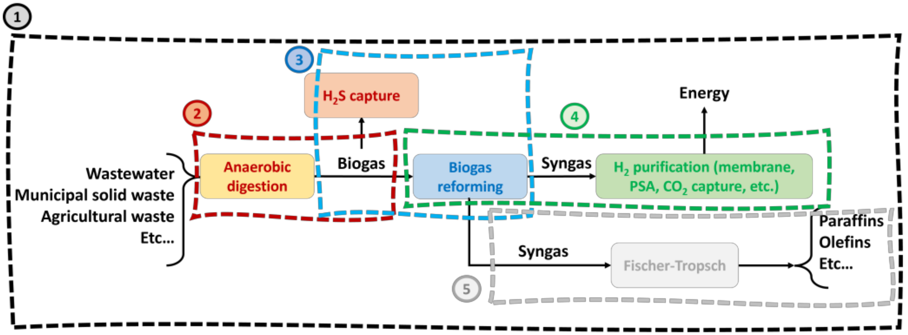 Catalysts 14 00592 g004