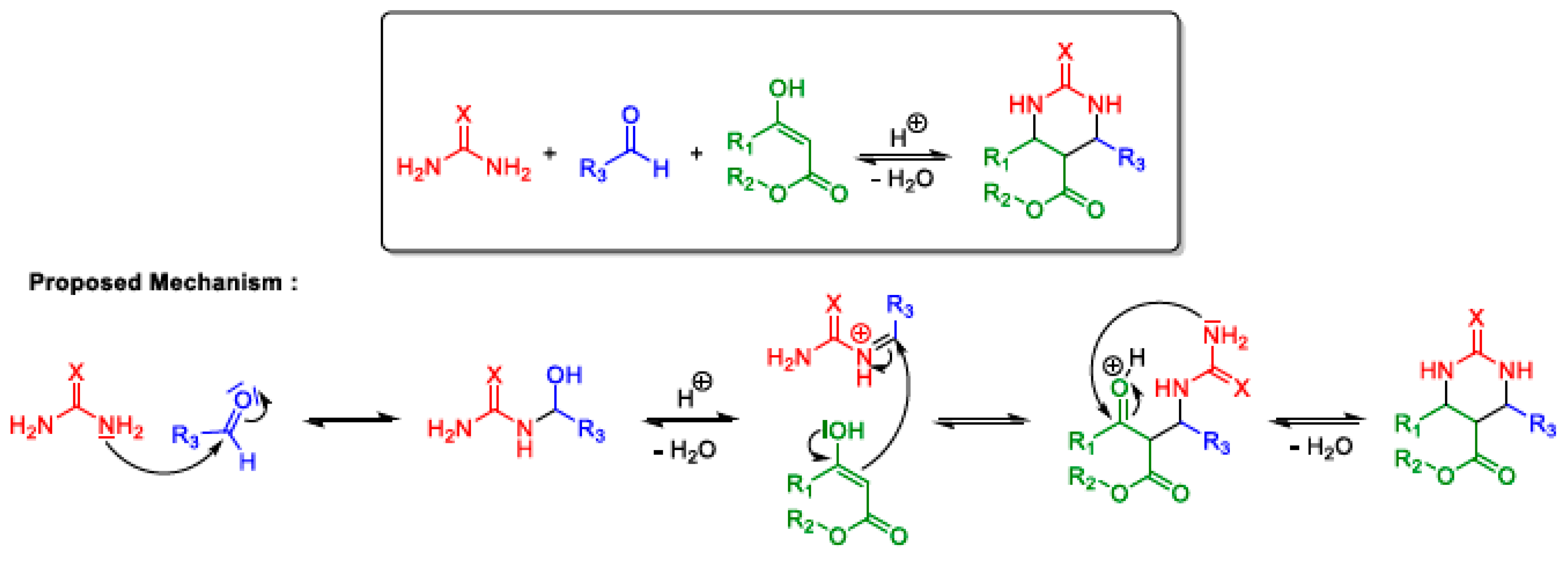 Catalysts 14 00593 sch012