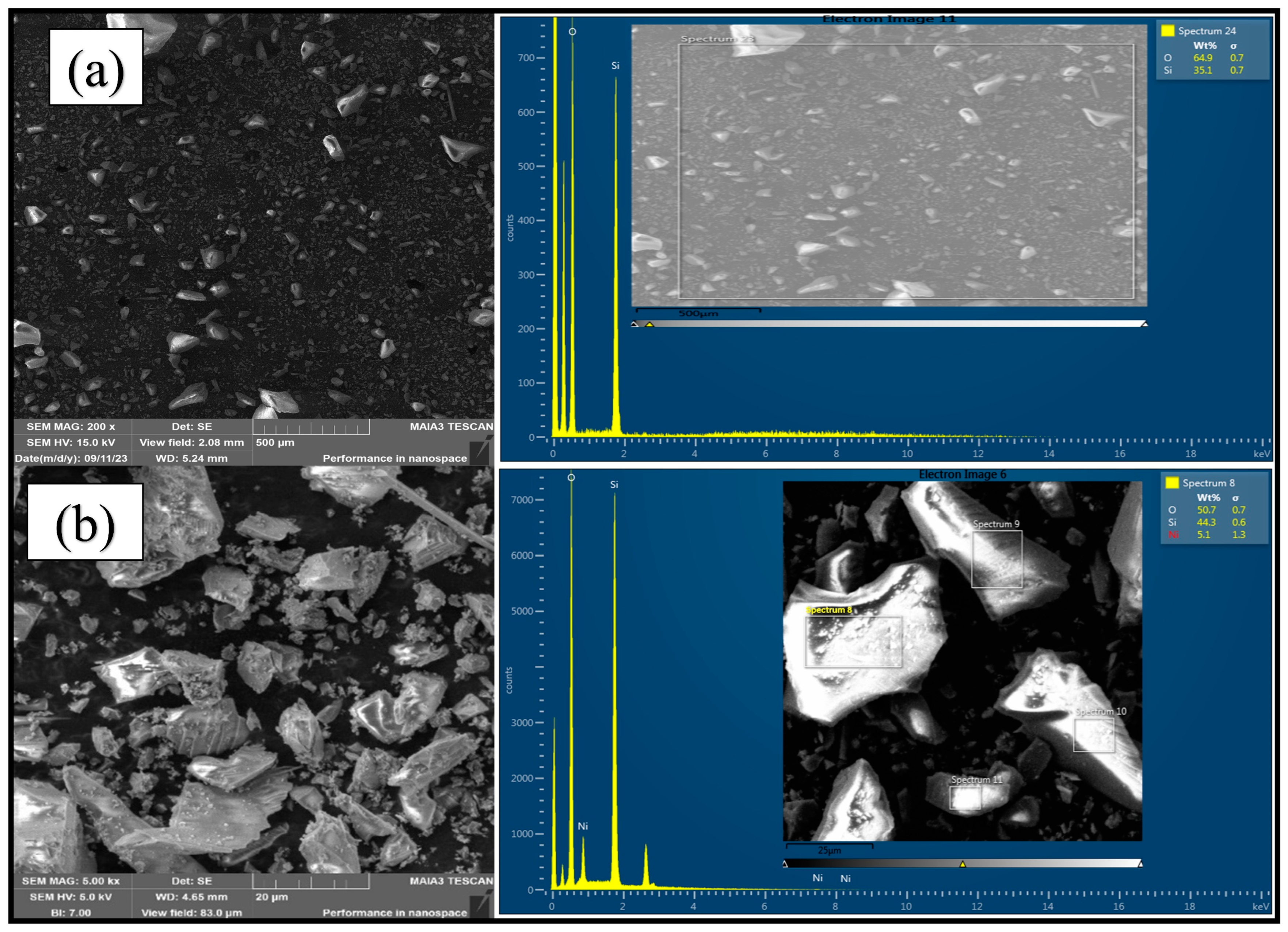 Catalysts 14 00596 g001