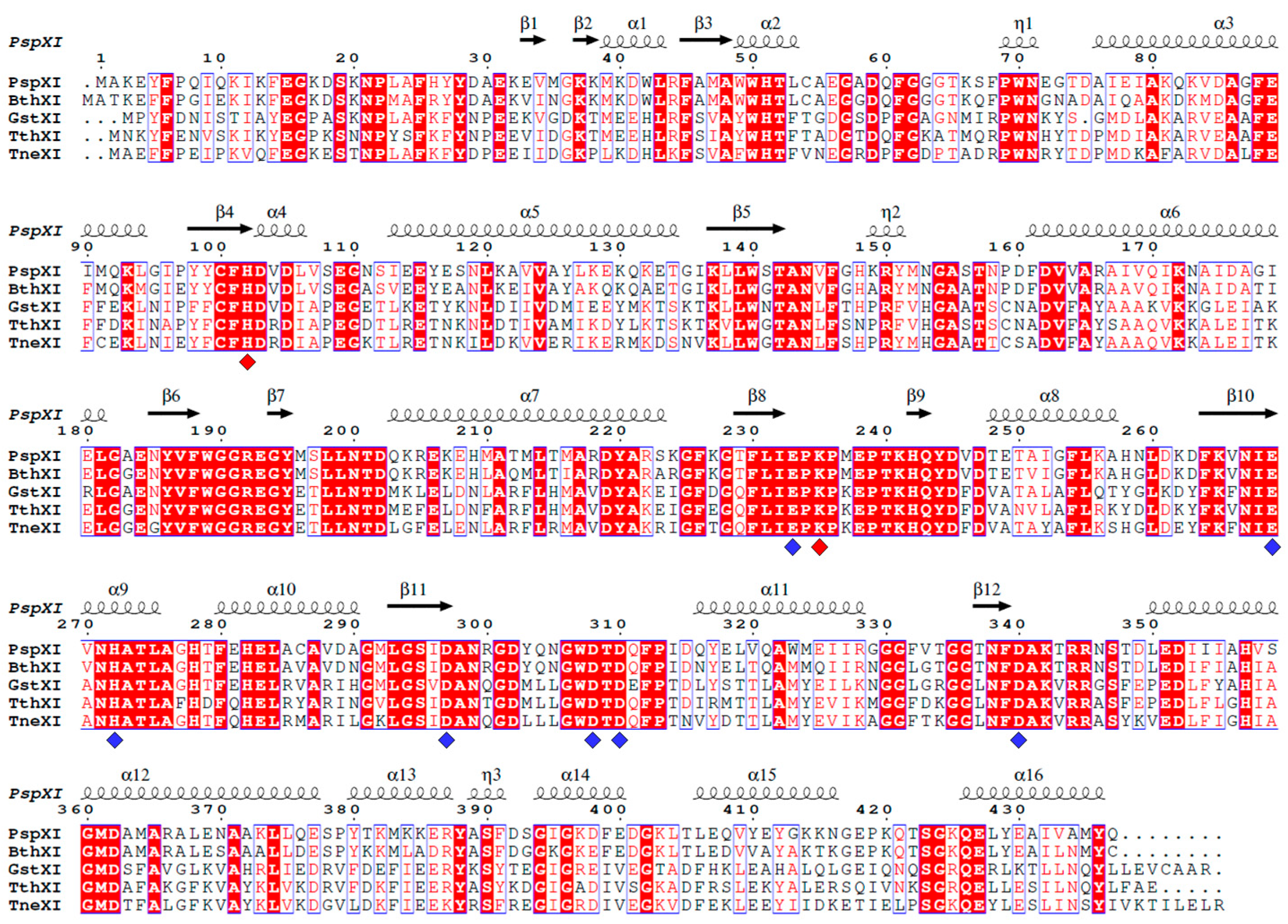 Catalysts 14 00597 g002