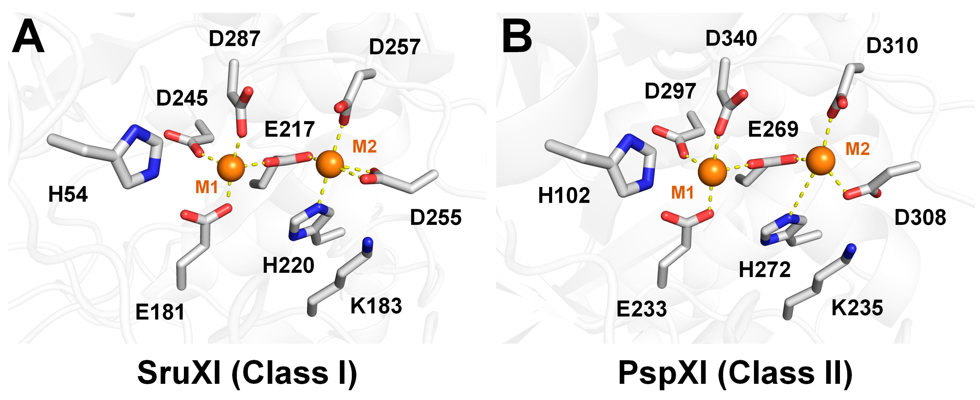 Catalysts 14 00597 g004