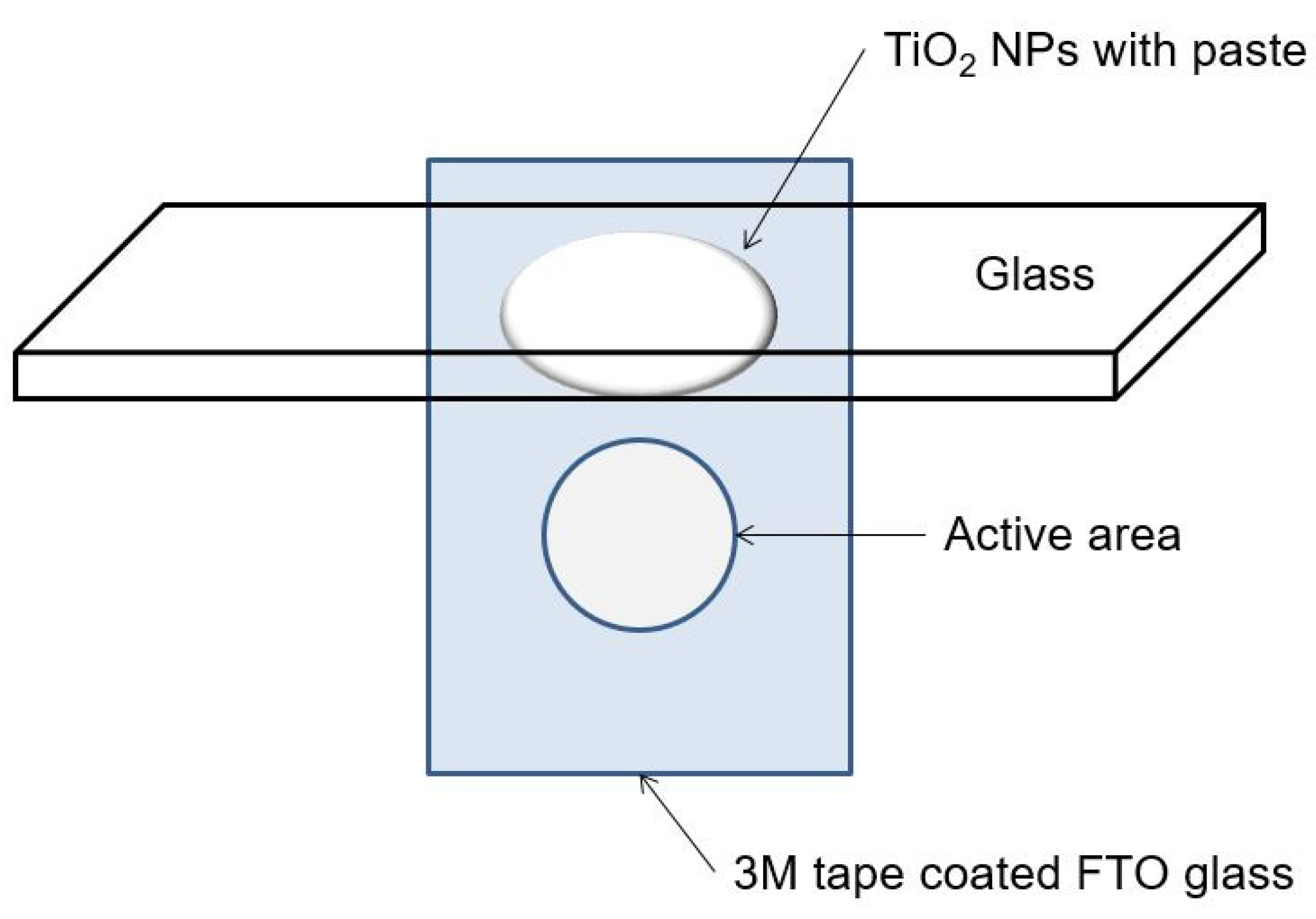 Catalysts 14 00598 g001