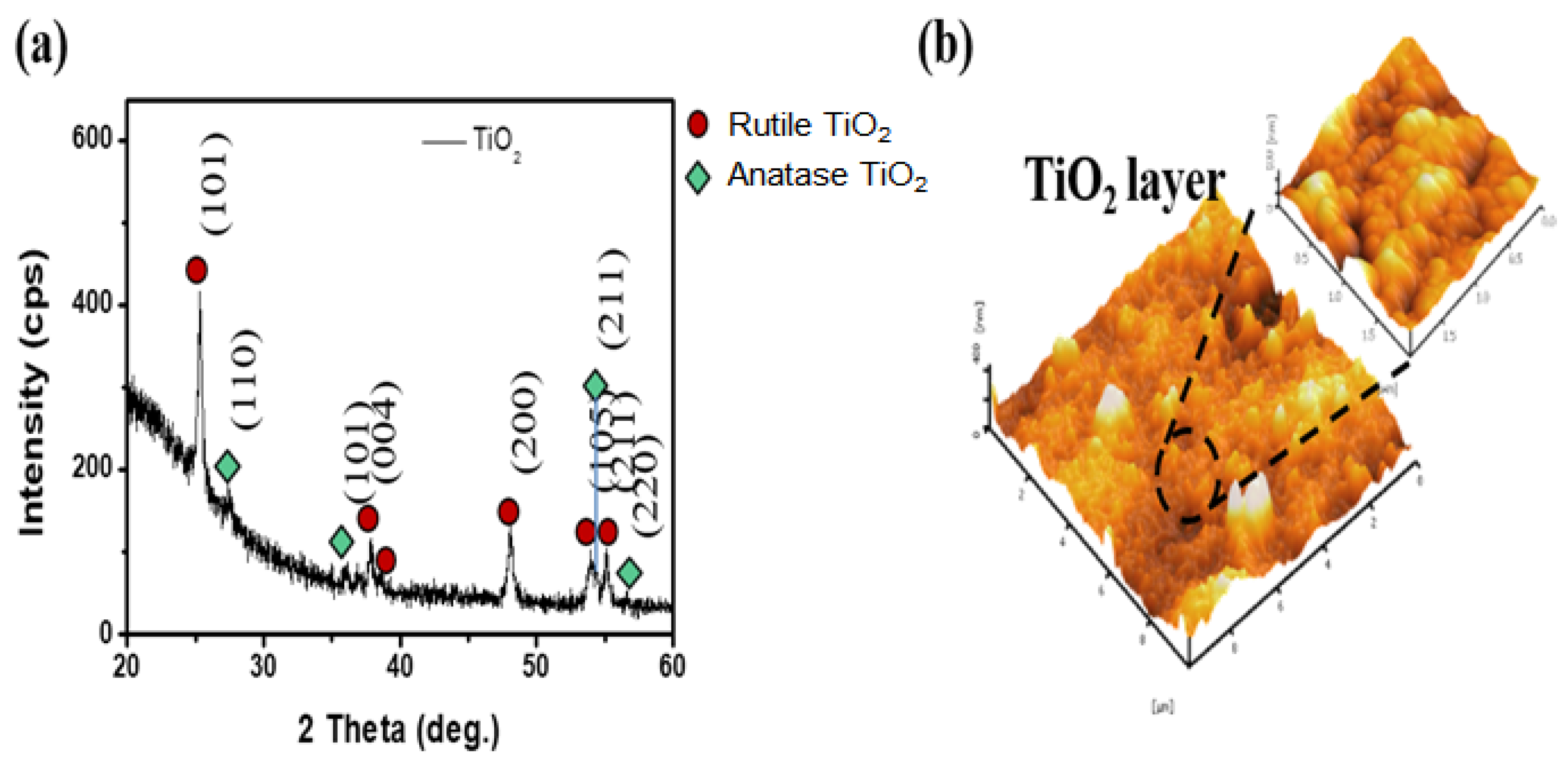 Catalysts 14 00598 g002