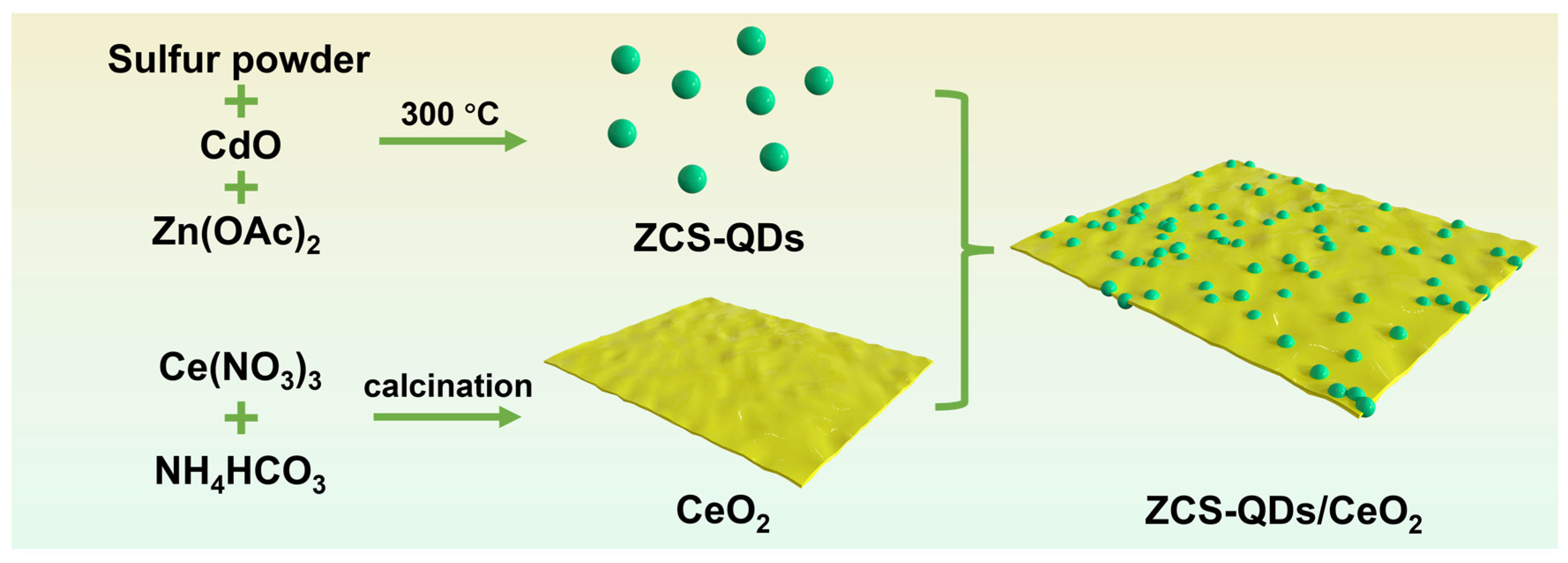 Construction of ZnCdS Quantum-Dot-Modified CeO2 (0D–2D