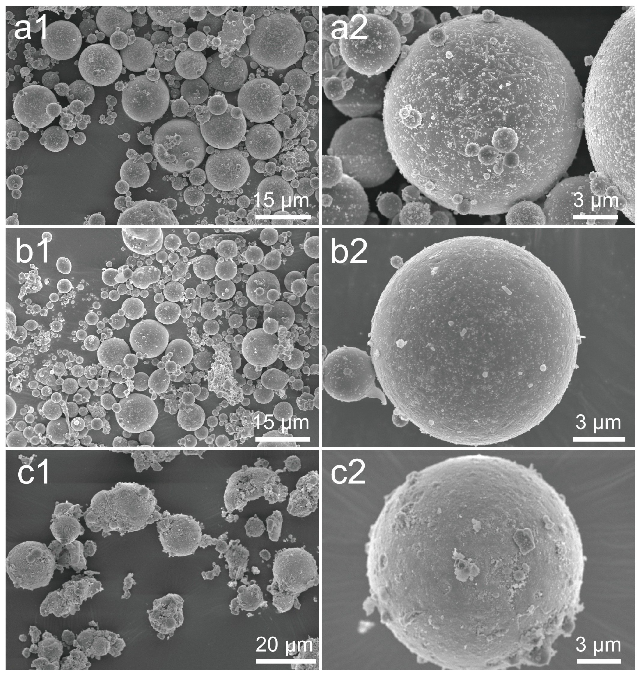 Catalysts 14 00600 g001