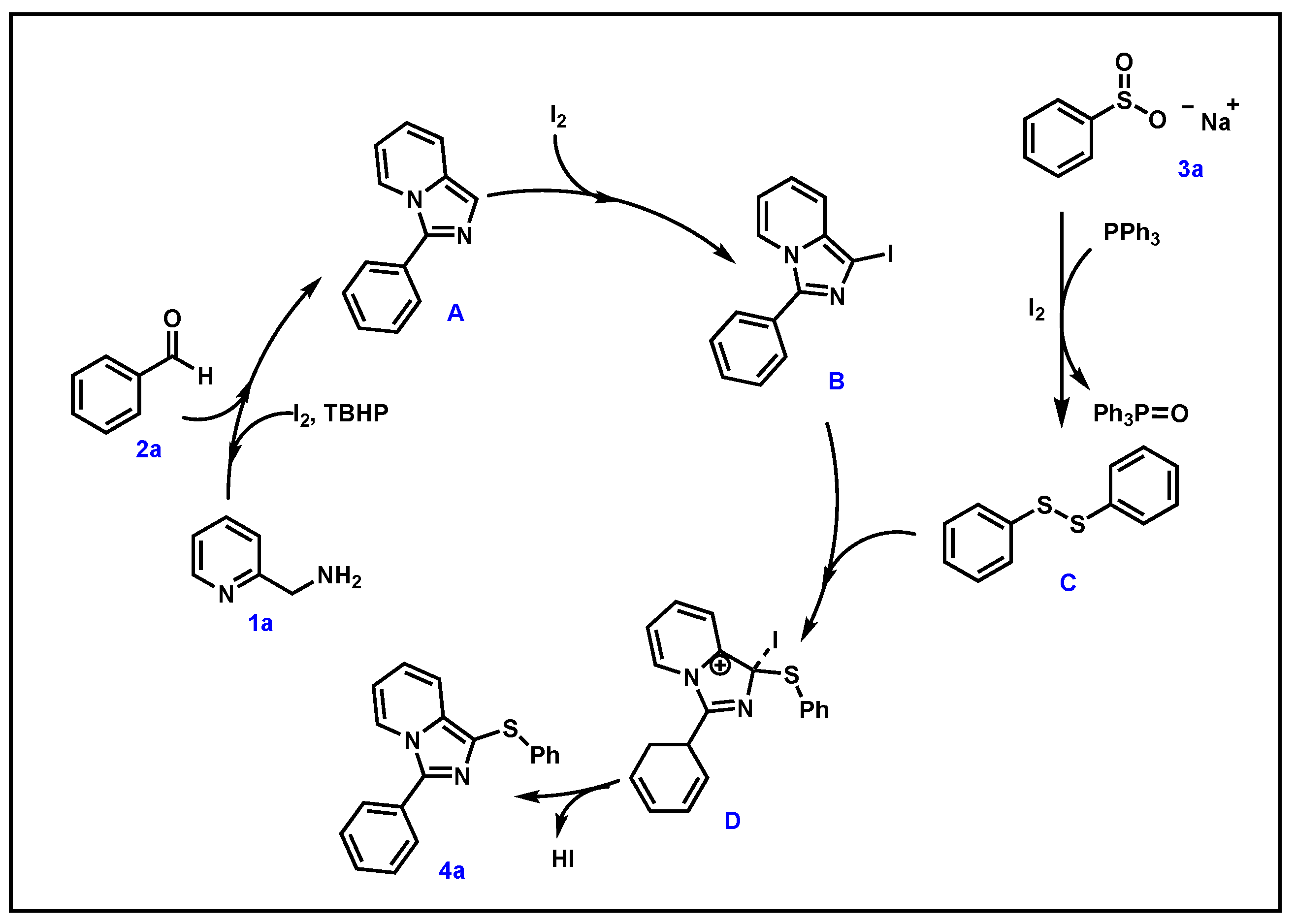 Catalysts 14 00601 sch003