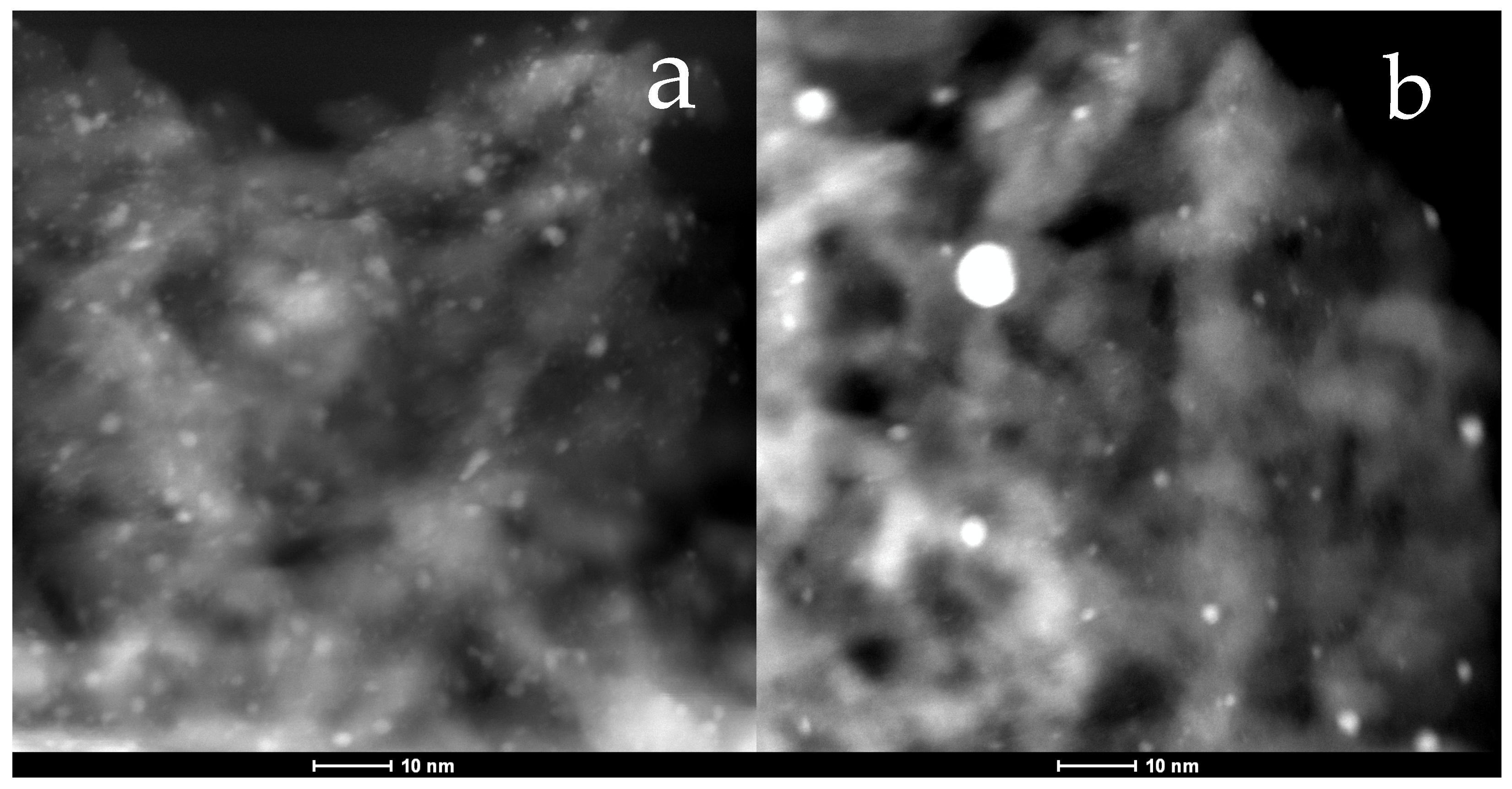 Catalysts 14 00604 g008