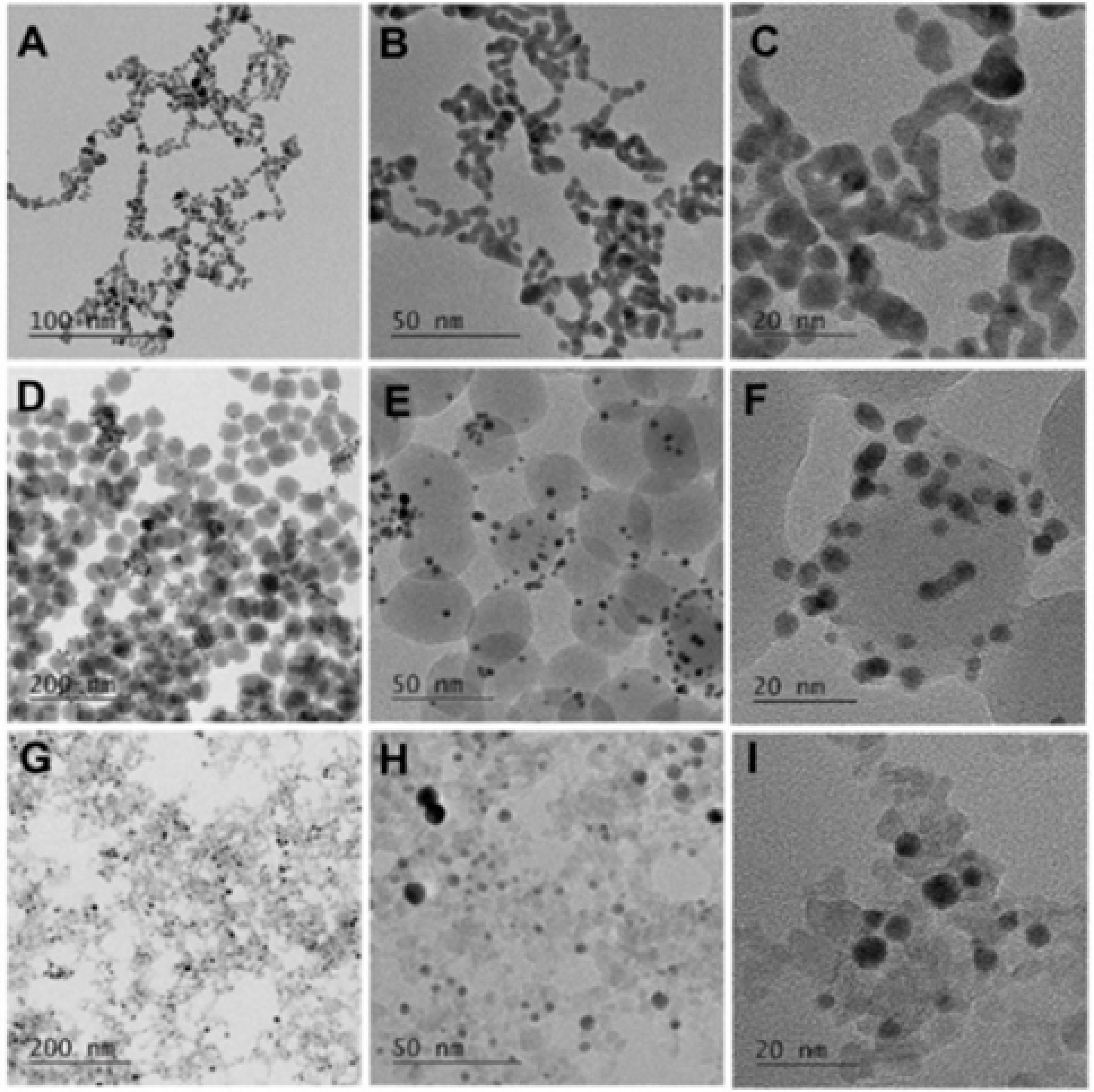 Catalysts 14 00606 g001
