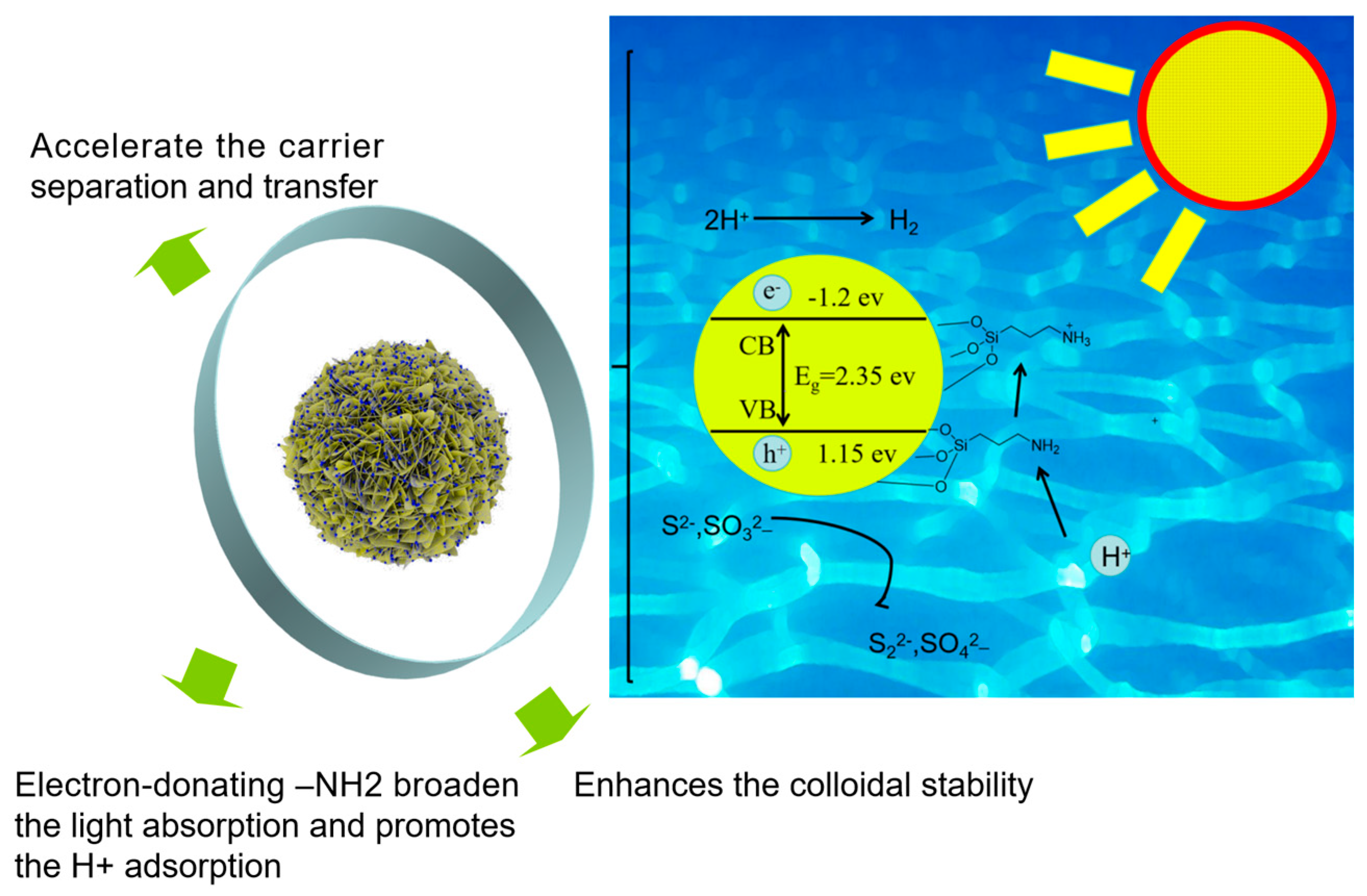 Catalysts 14 00607 g007