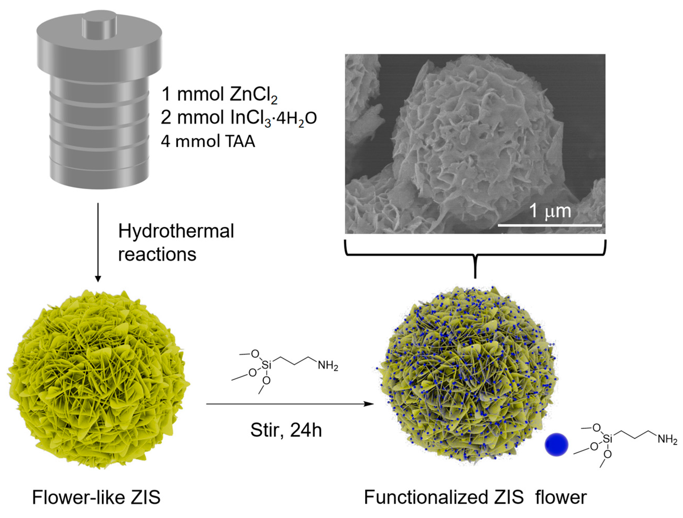 Catalysts 14 00607 g008