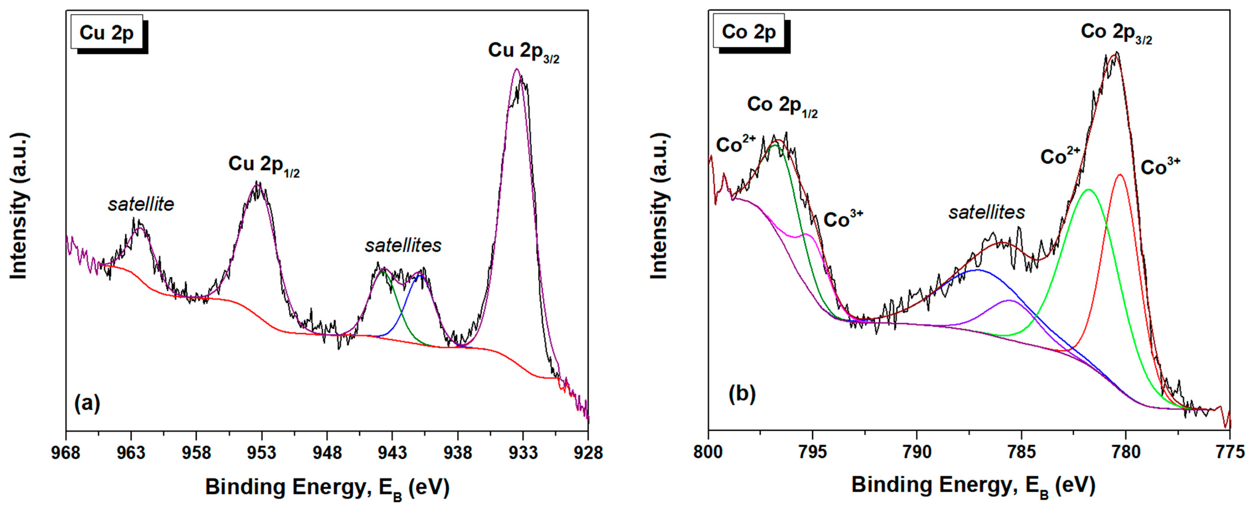 Catalysts 14 00611 g006a