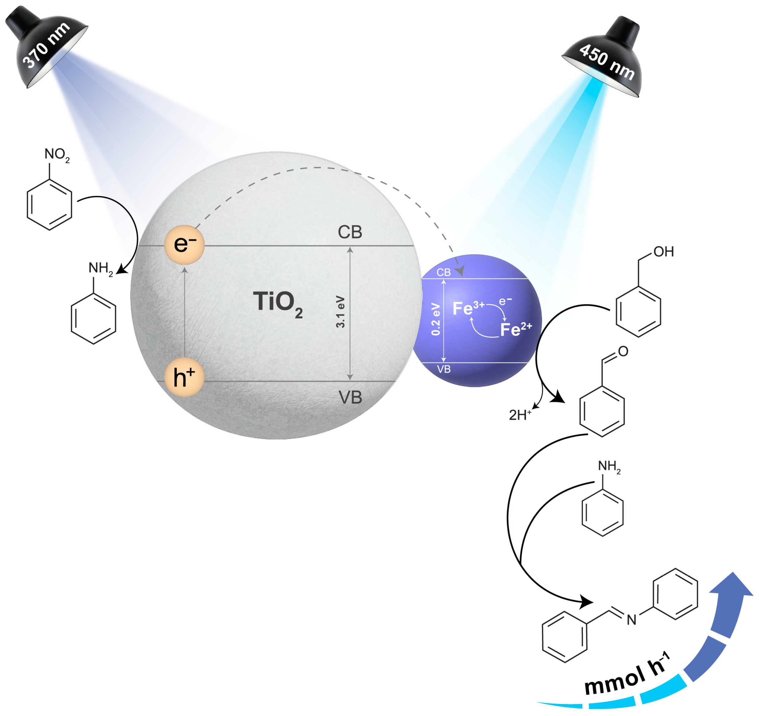 Catalysts 14 00612 g008