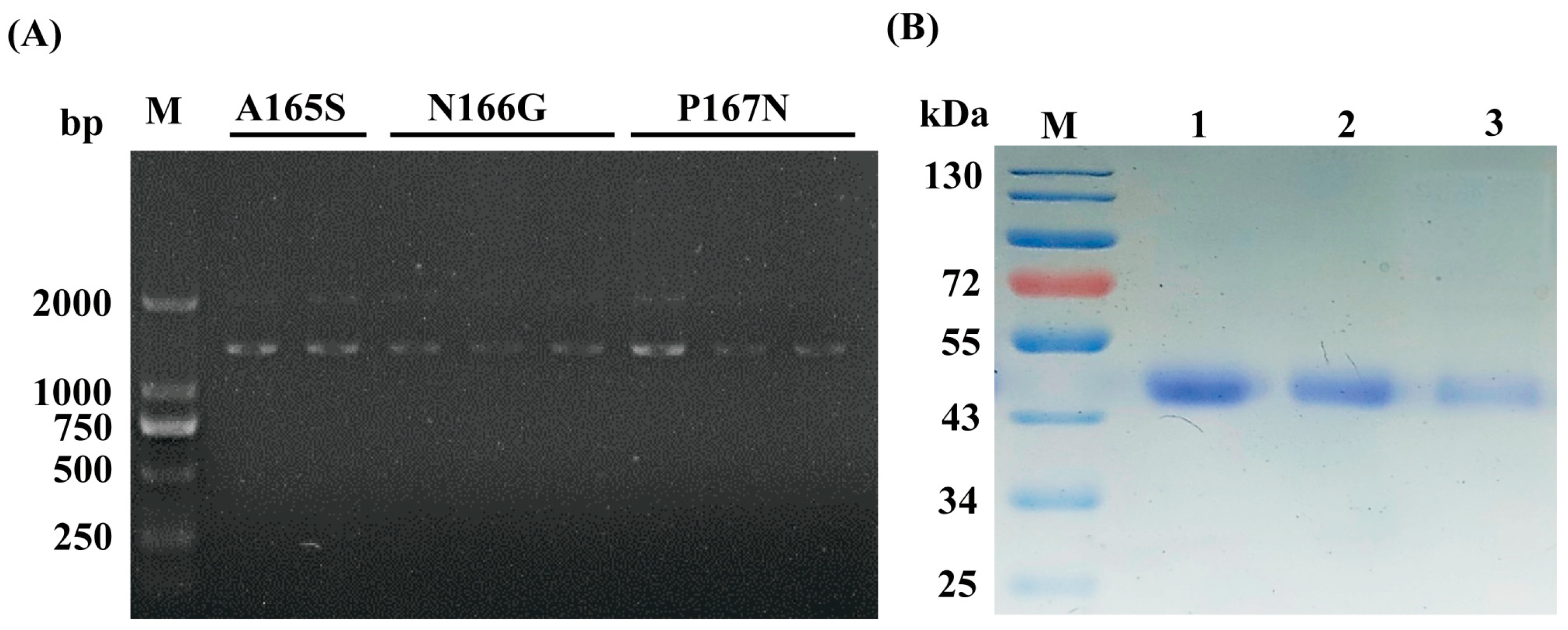 Catalysts 14 00614 g001