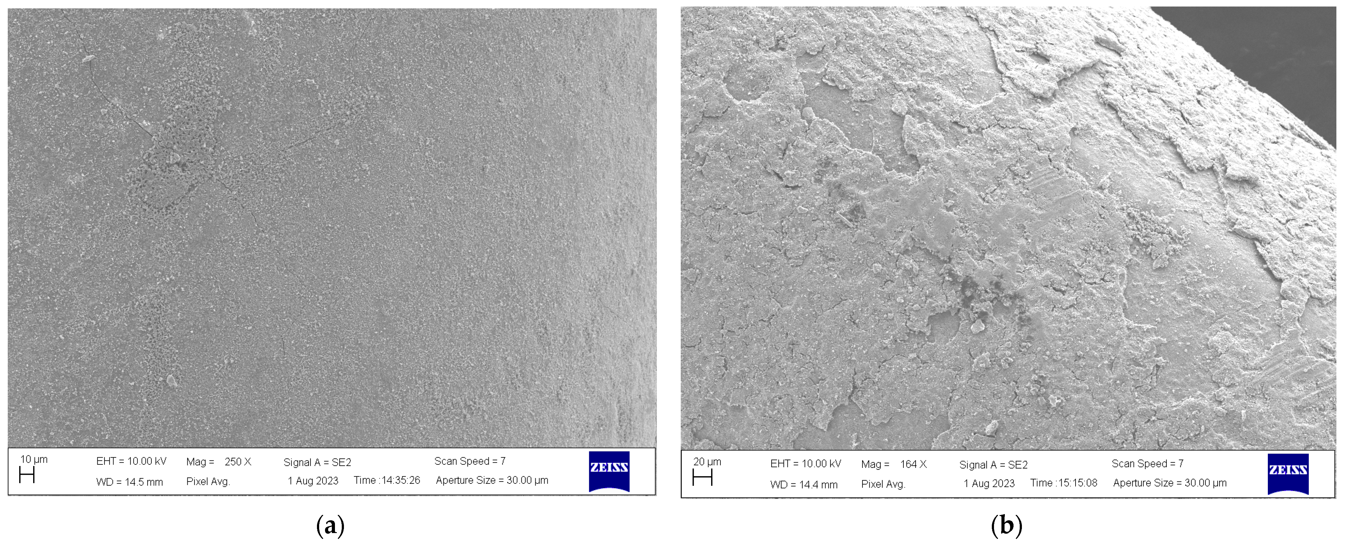 Catalysts 14 00616 g012