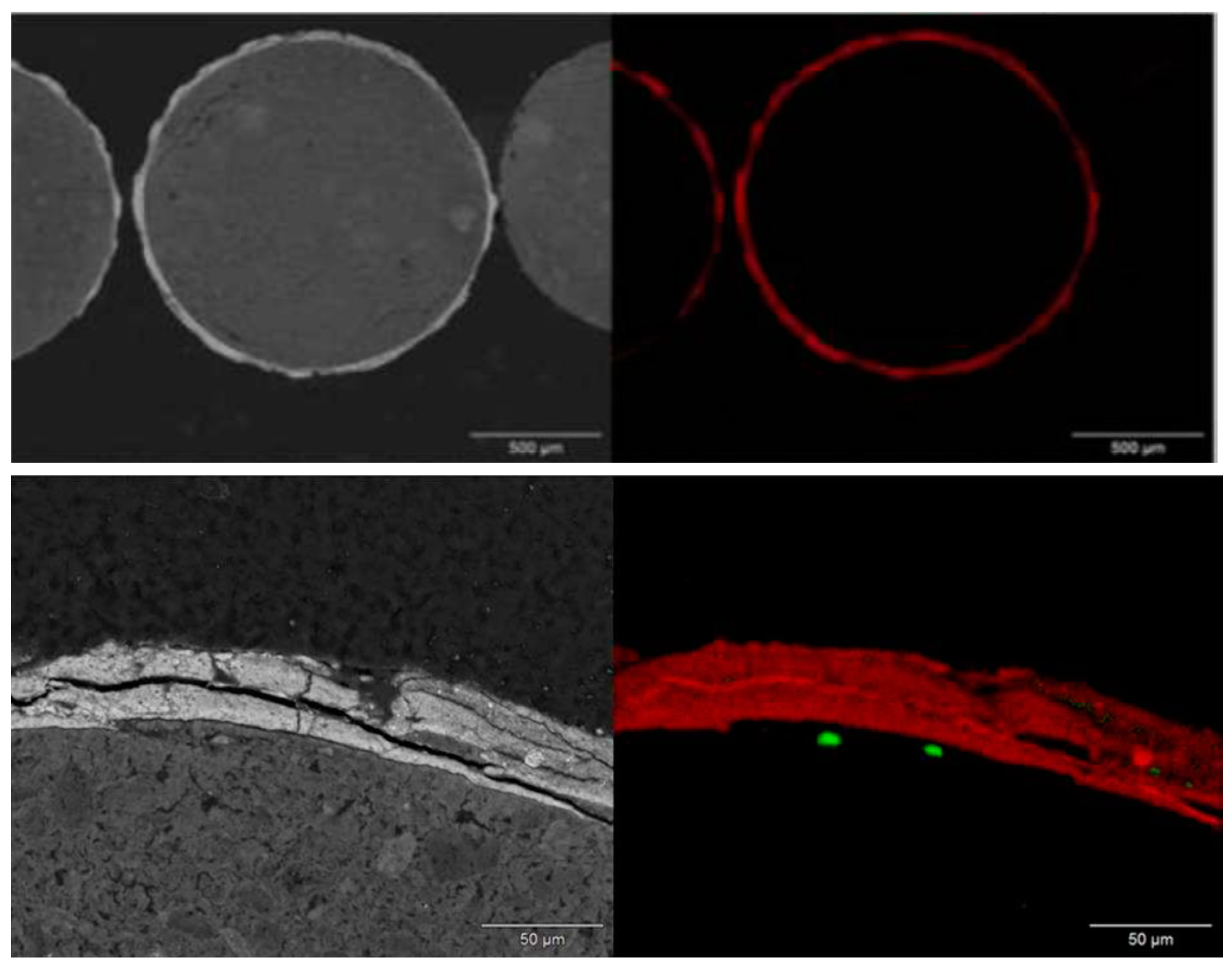 Catalysts 14 00616 g013