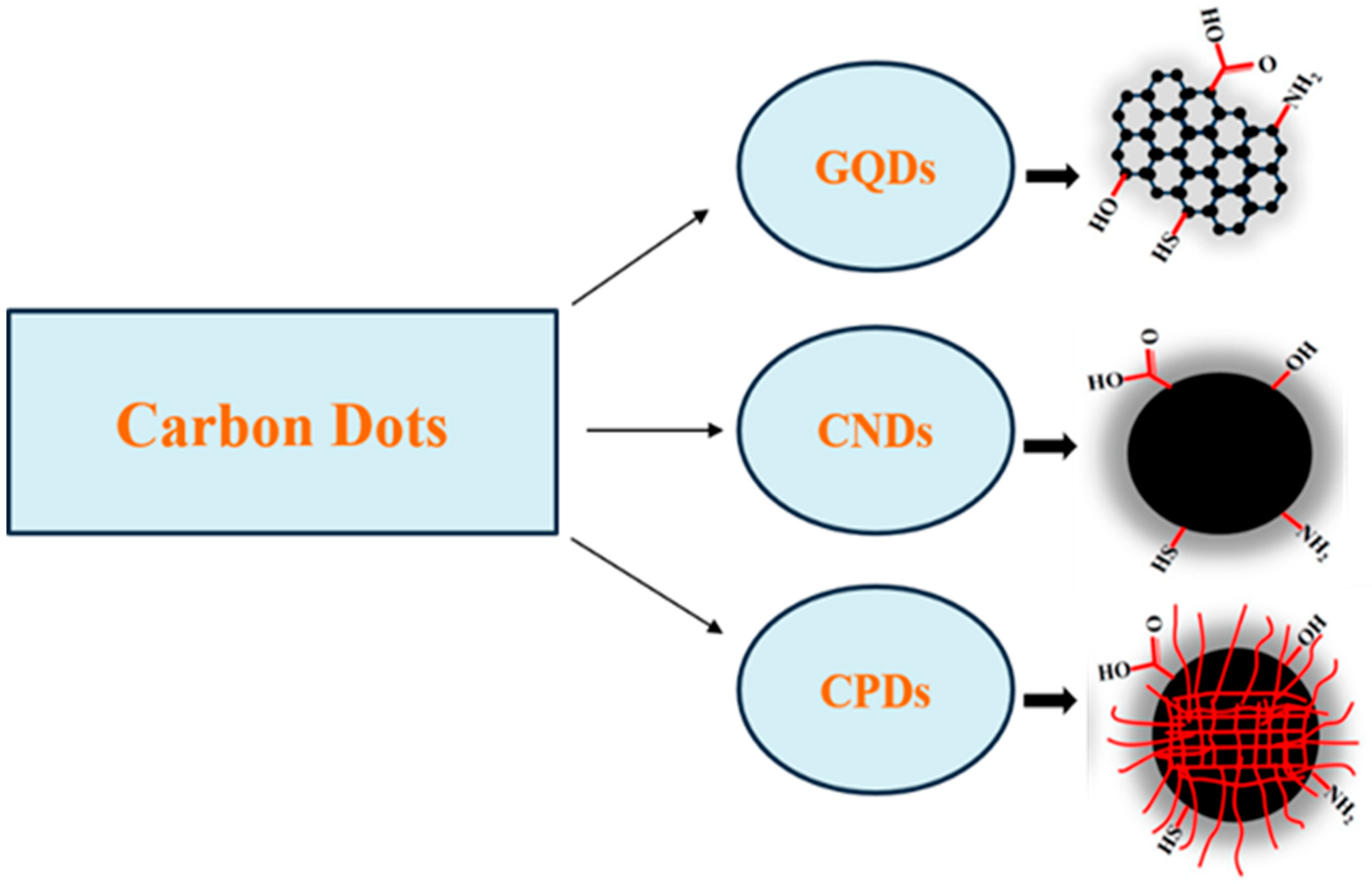 Catalysts 14 00618 g007