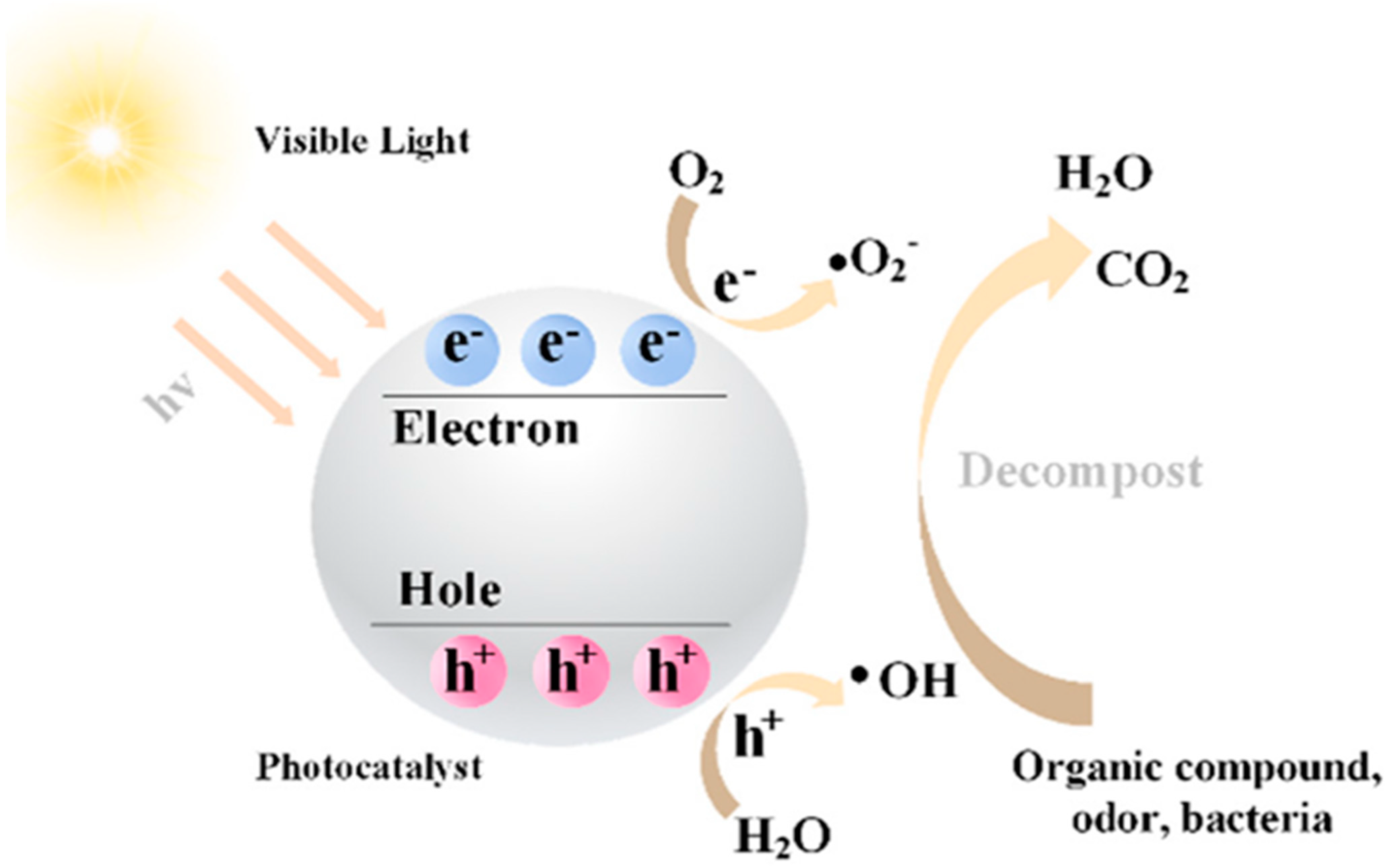 Catalysts 14 00618 g011
