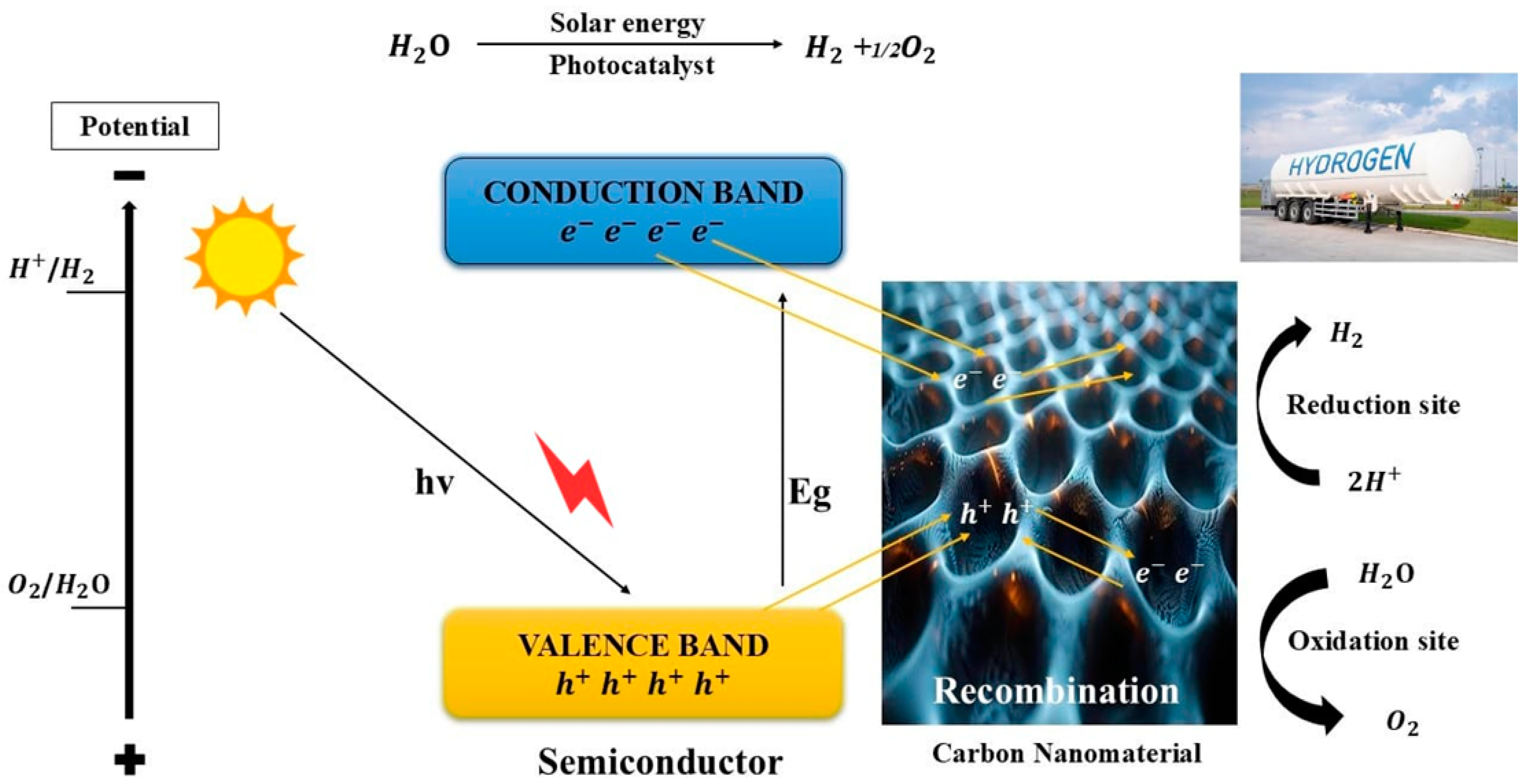 Catalysts 14 00618 g012
