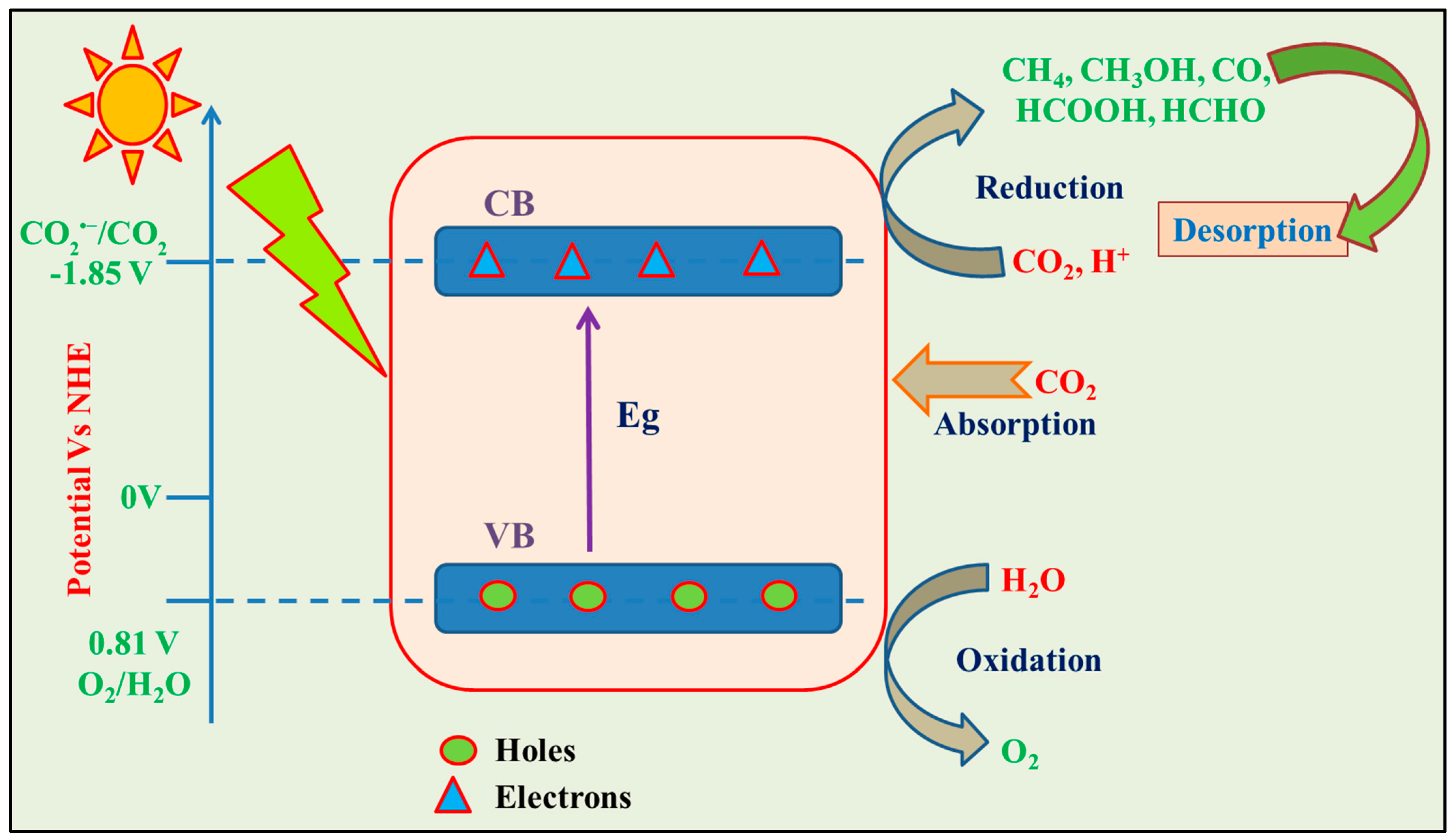 Catalysts 14 00618 g013