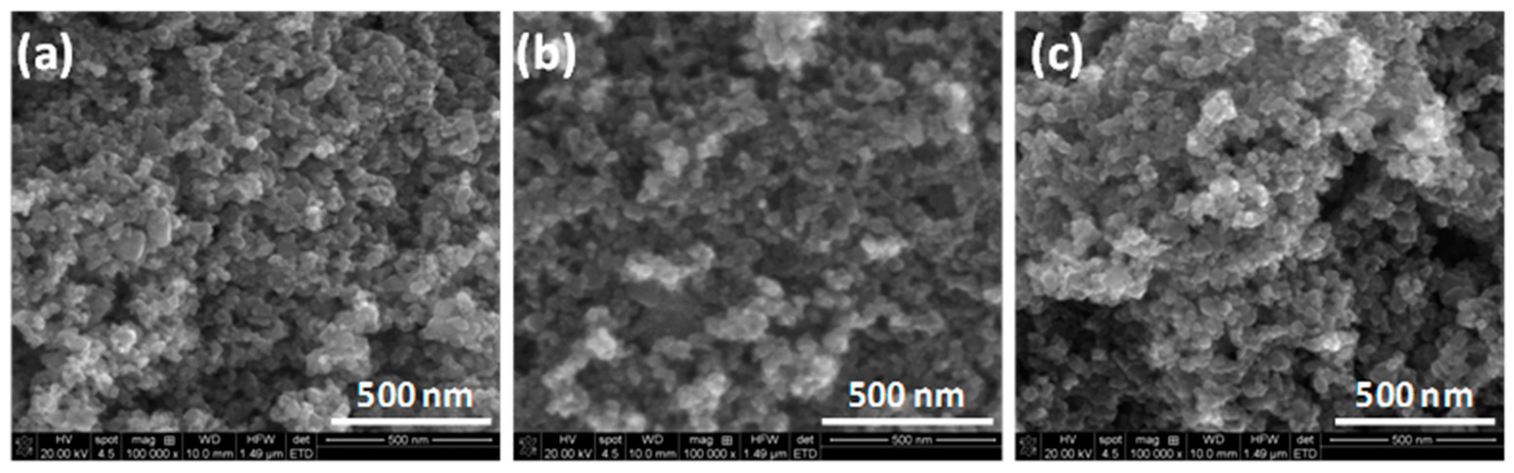 Catalysts 14 00619 g001