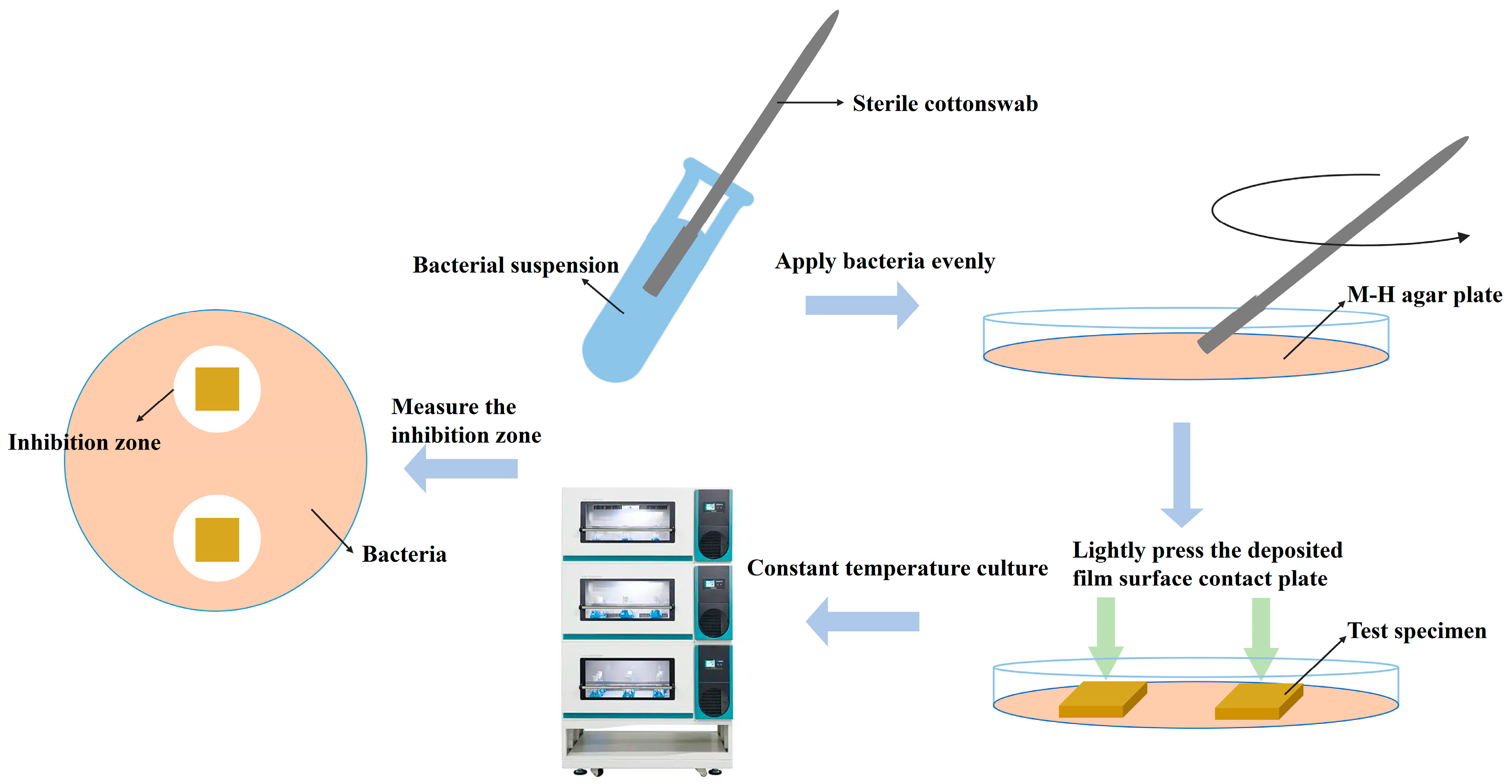 Catalysts 14 00621 g011