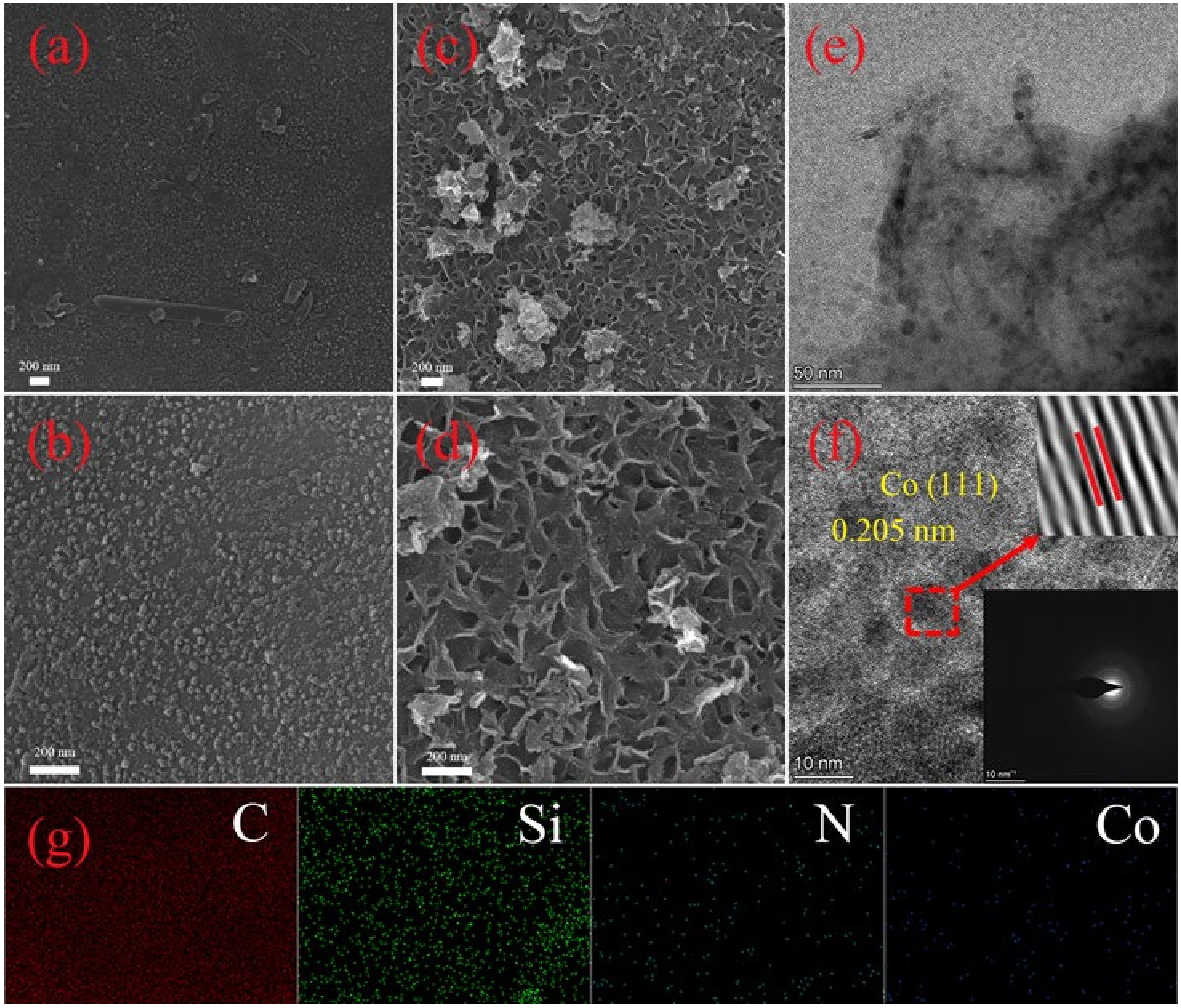 Catalysts 14 00624 g001