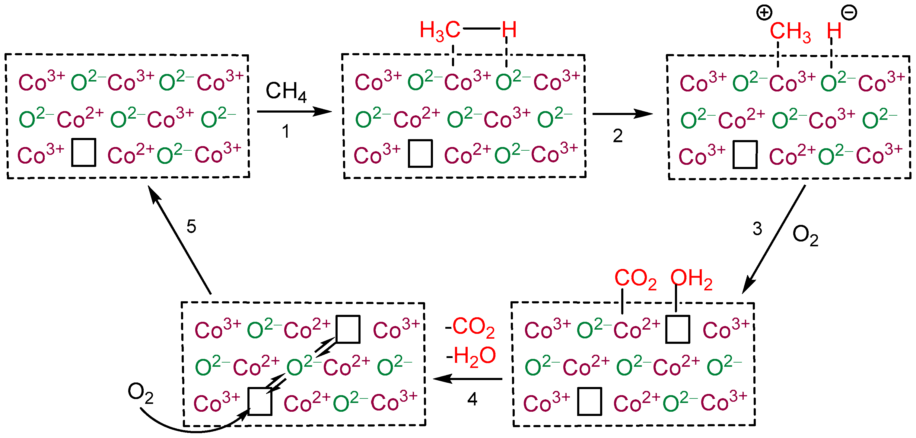 Catalysts 14 00625 sch001