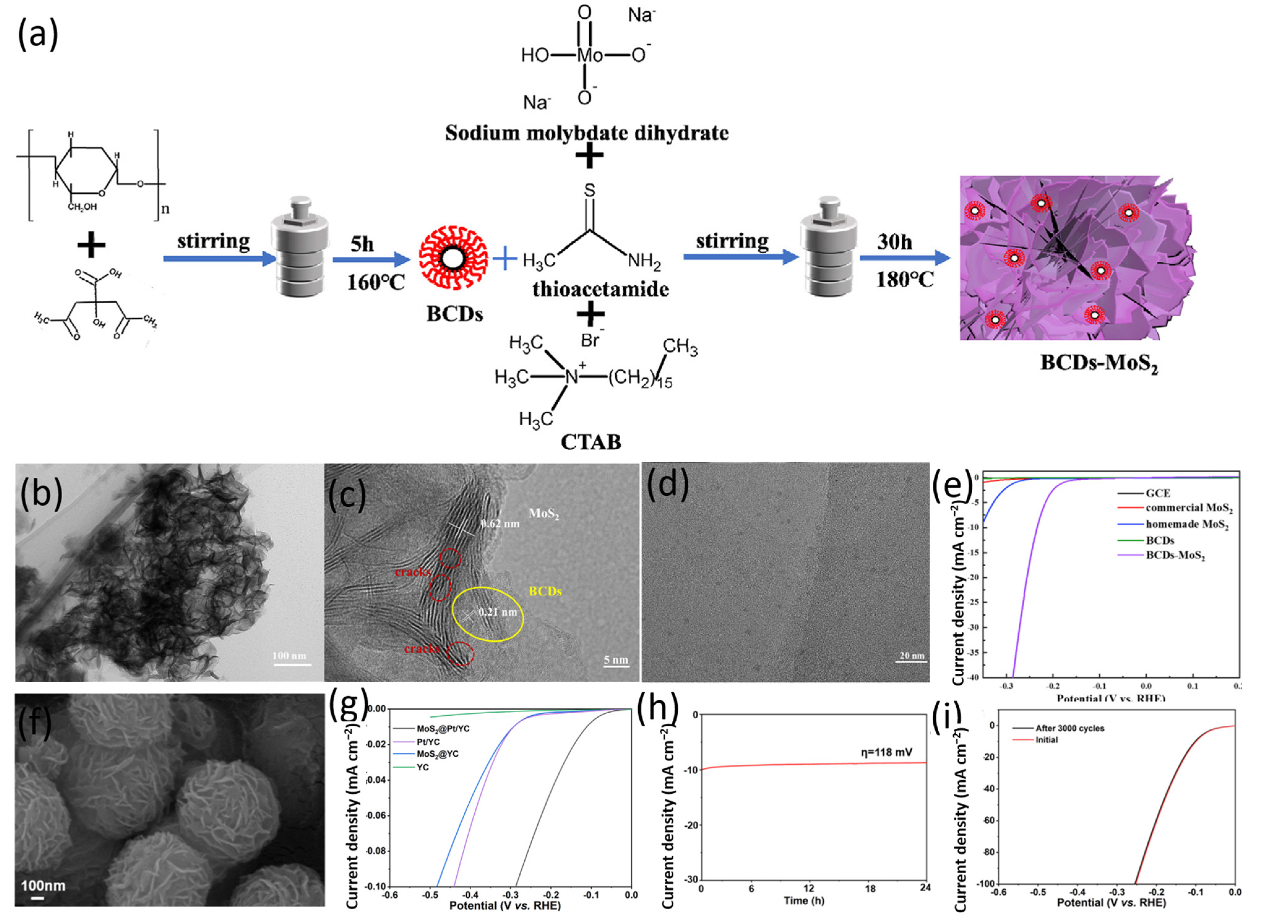 Catalysts 14 00627 g003