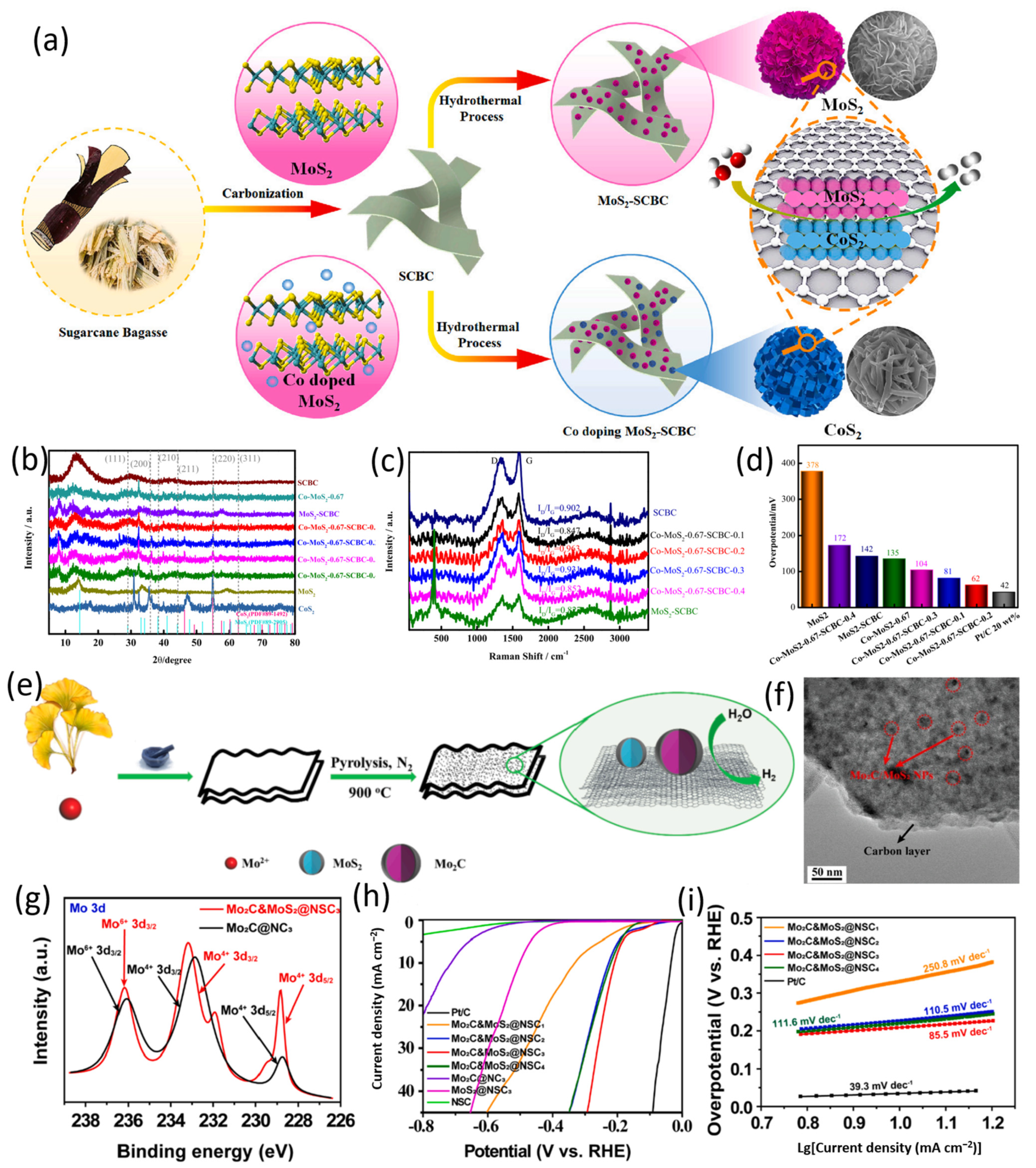 Catalysts 14 00627 g004