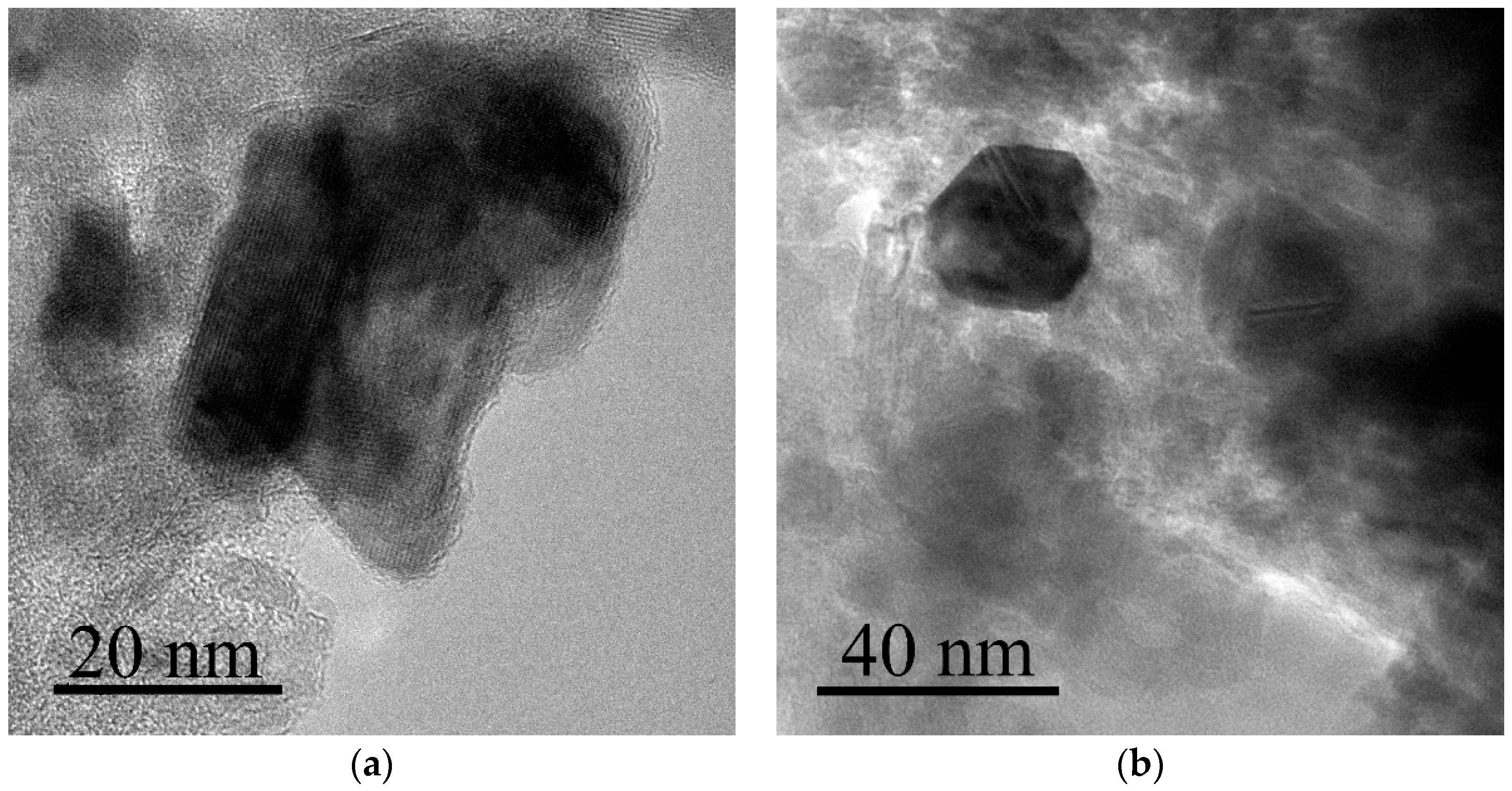 Catalysts 14 00628 g001