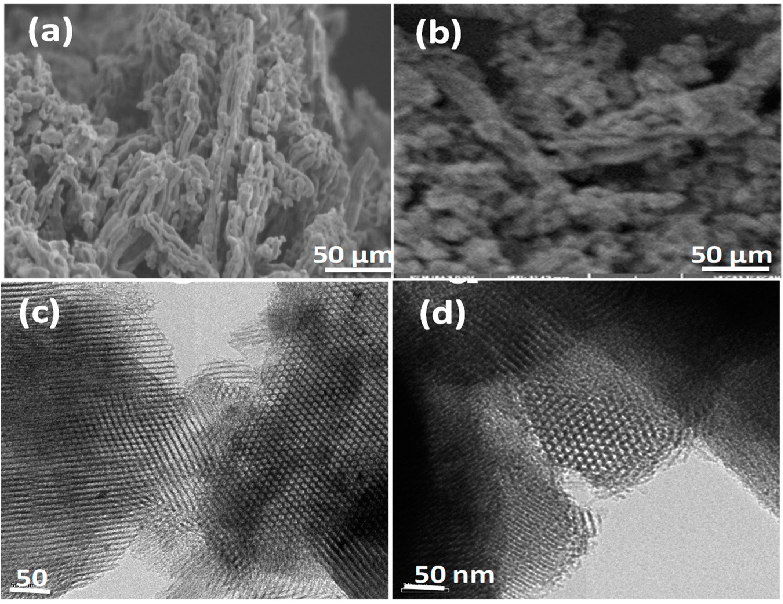 Catalysts 14 00629 g003