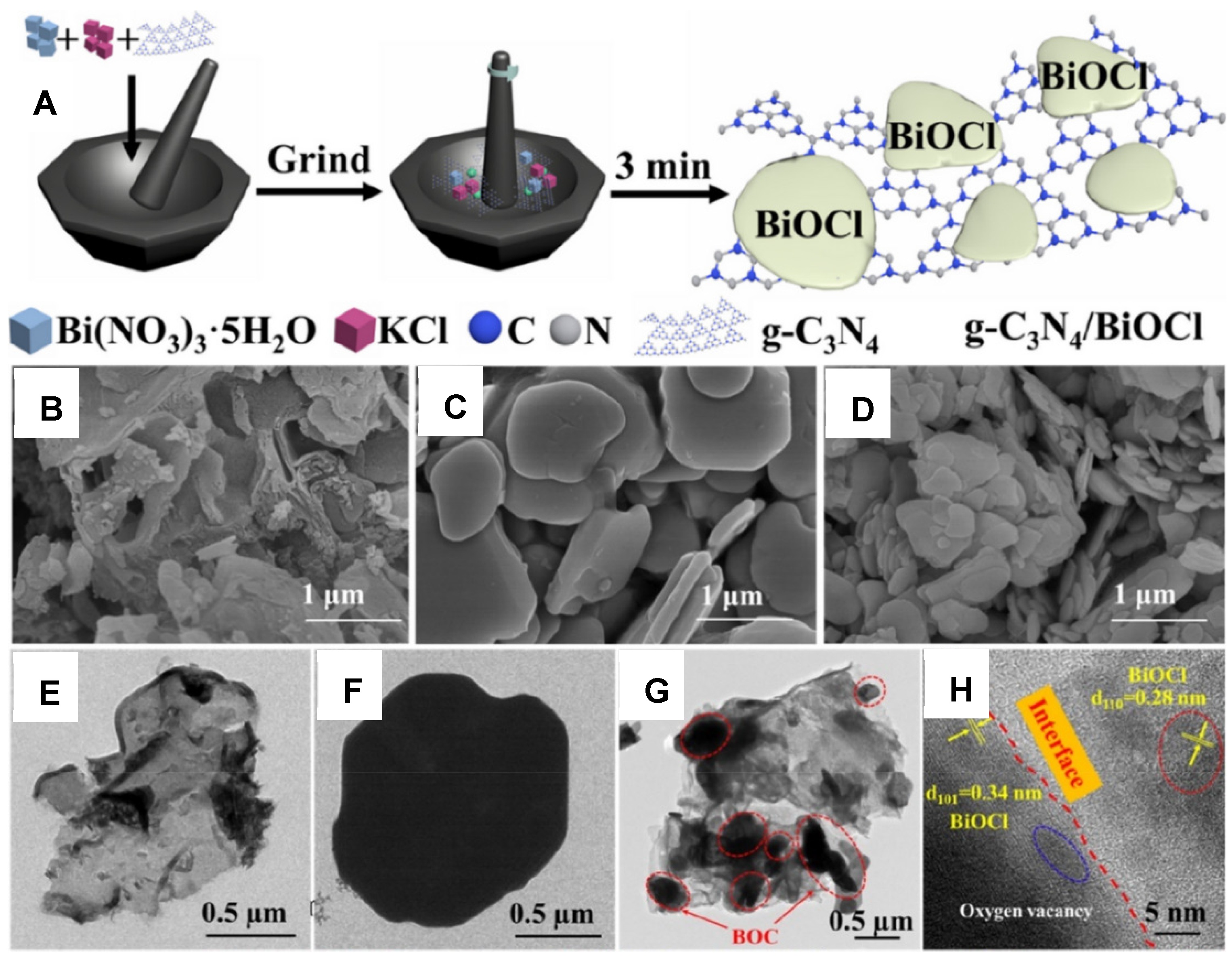 Catalysts 14 00636 g008