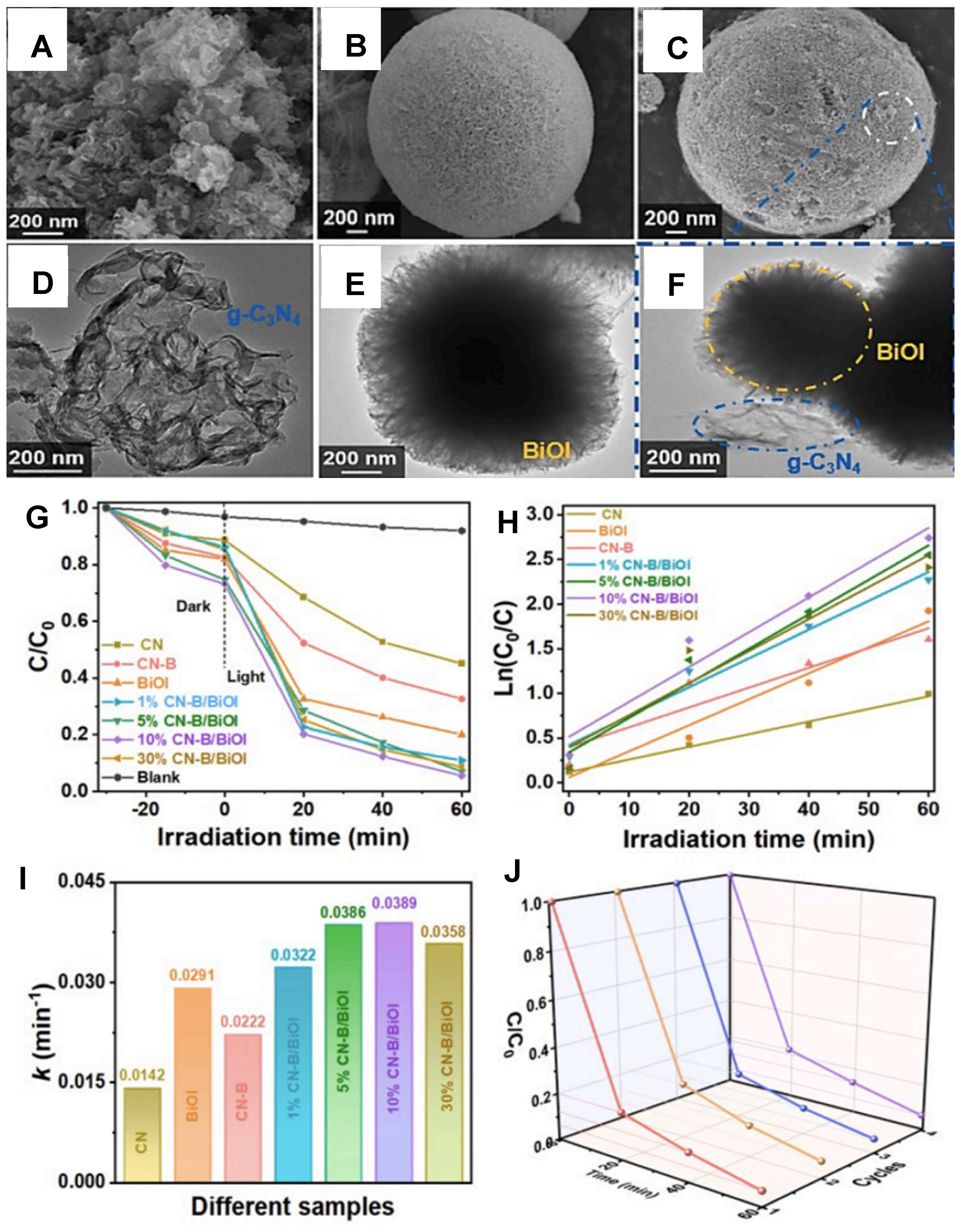 Catalysts 14 00636 g009