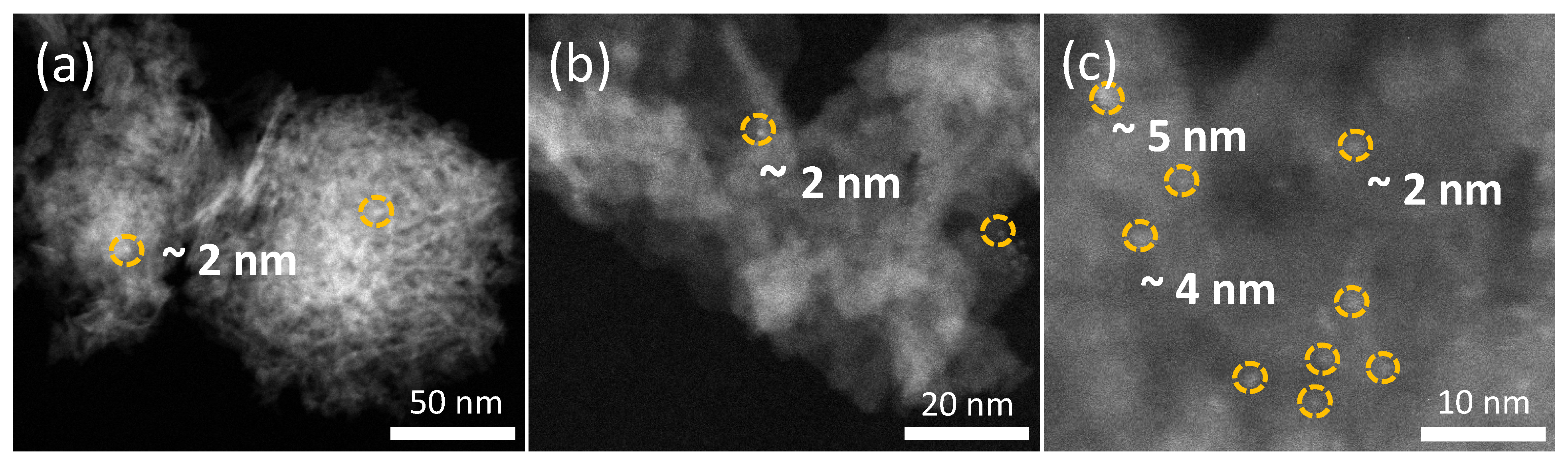 Catalysts 14 00637 g003 Catalysts 14 00637 g003